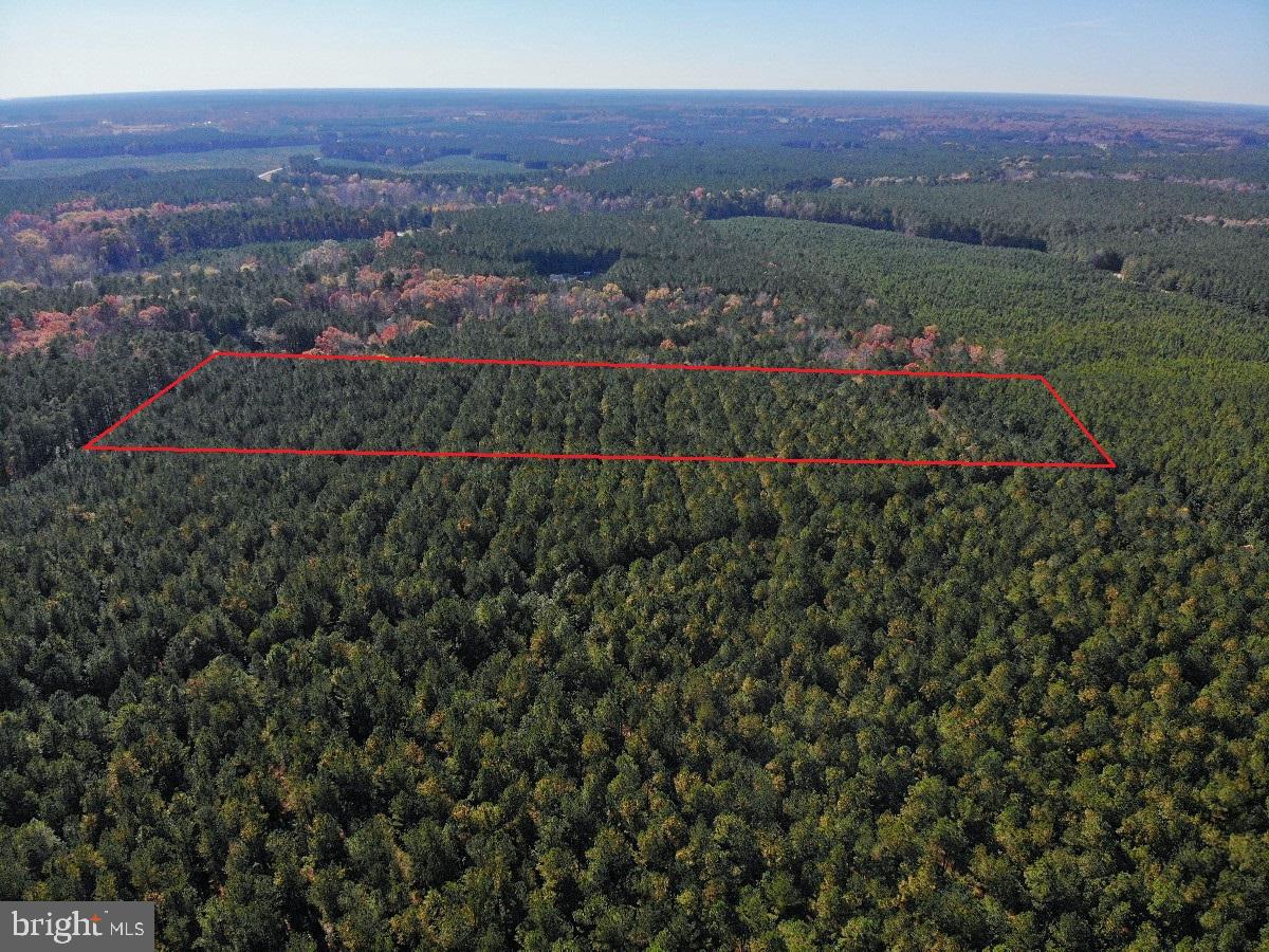 0 POLE RUN RD, DISPUTANTA, Virginia 23842, ,Land,For sale,0 POLE RUN RD,VAPV2000098 MLS # VAPV2000098