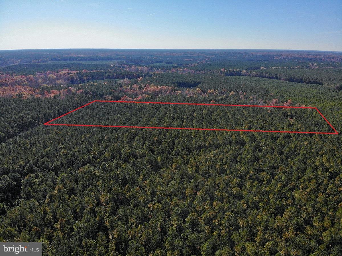 0 POLE RUN RD, DISPUTANTA, Virginia 23842, ,Land,For sale,0 POLE RUN RD,VAPV2000098 MLS # VAPV2000098
