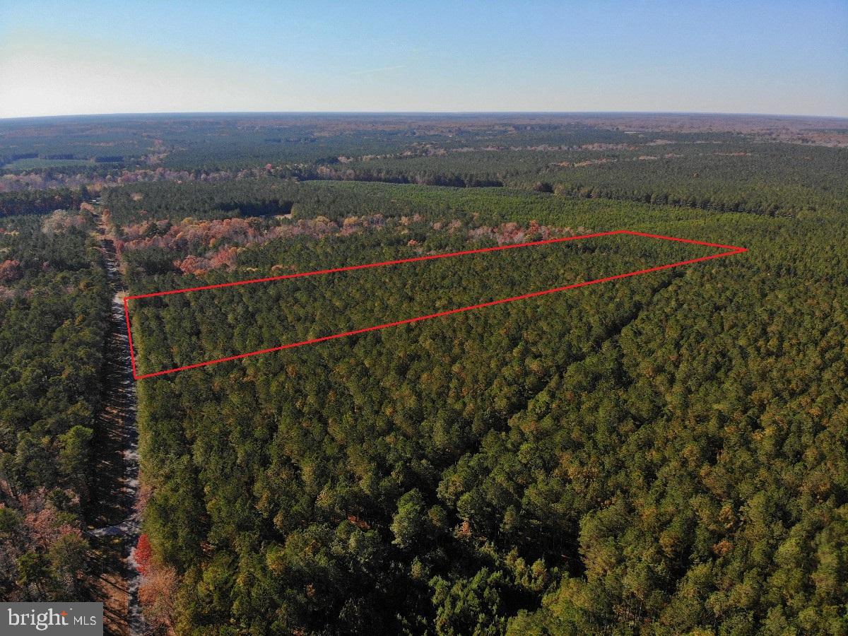 0 POLE RUN RD, DISPUTANTA, Virginia 23842, ,Land,For sale,0 POLE RUN RD,VAPV2000098 MLS # VAPV2000098