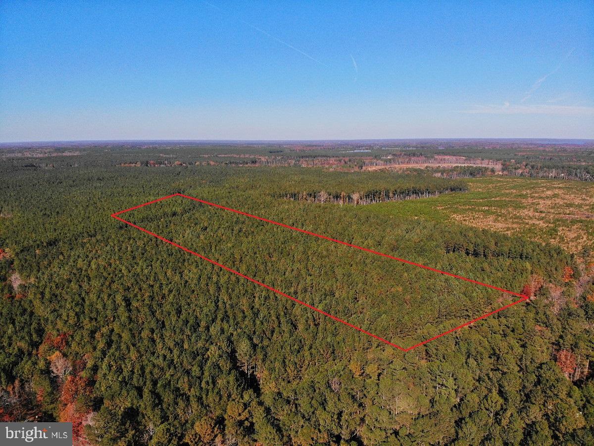 0 POLE RUN RD, DISPUTANTA, Virginia 23842, ,Land,For sale,0 POLE RUN RD,VAPV2000100 MLS # VAPV2000100