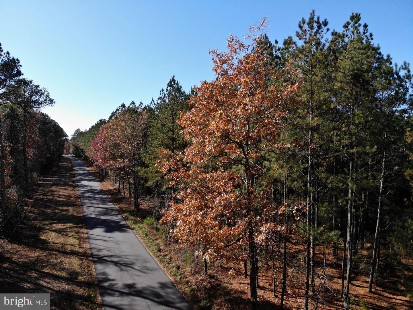 0 POLE RUN RD, DISPUTANTA, Virginia 23842, ,Land,For sale,0 POLE RUN RD,VAPV2000100 MLS # VAPV2000100