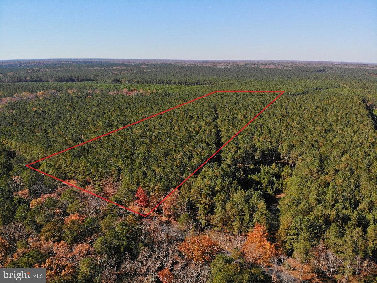 0 POLE RUN RD, DISPUTANTA, Virginia 23842, ,Land,For sale,0 POLE RUN RD,VAPV2000100 MLS # VAPV2000100