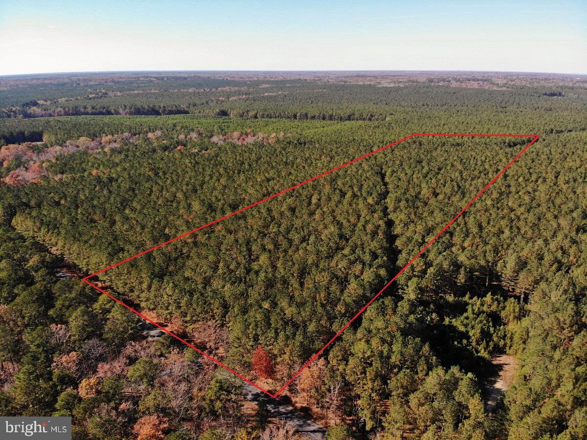 0 POLE RUN RD, DISPUTANTA, Virginia 23842, ,Land,For sale,0 POLE RUN RD,VAPV2000100 MLS # VAPV2000100