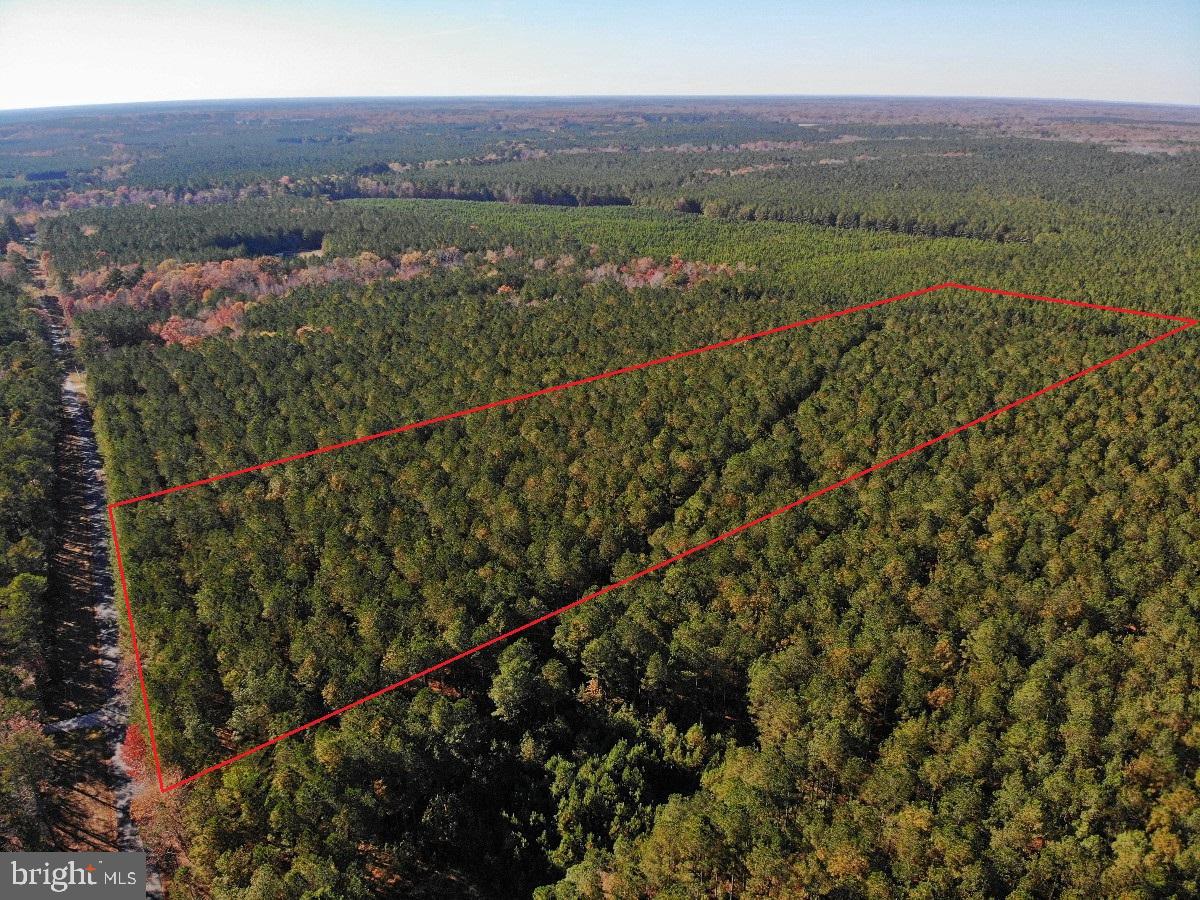 0 POLE RUN RD, DISPUTANTA, Virginia 23842, ,Land,For sale,0 POLE RUN RD,VAPV2000100 MLS # VAPV2000100