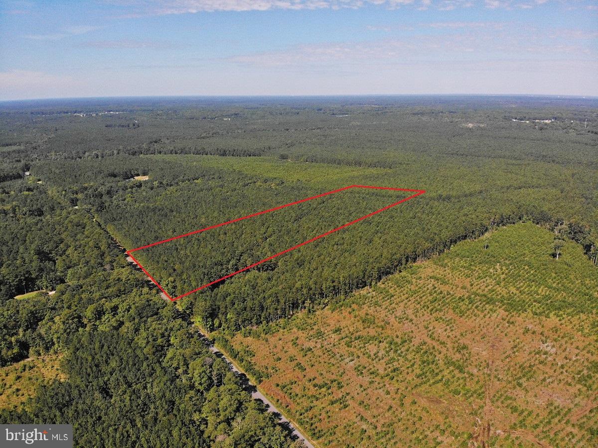 0 POLE RUN RD, DISPUTANTA, Virginia 23842, ,Land,For sale,0 POLE RUN RD,VAPV2000100 MLS # VAPV2000100
