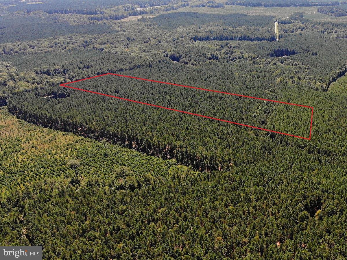 0 POLE RUN RD, DISPUTANTA, Virginia 23842, ,Land,For sale,0 POLE RUN RD,VAPV2000100 MLS # VAPV2000100