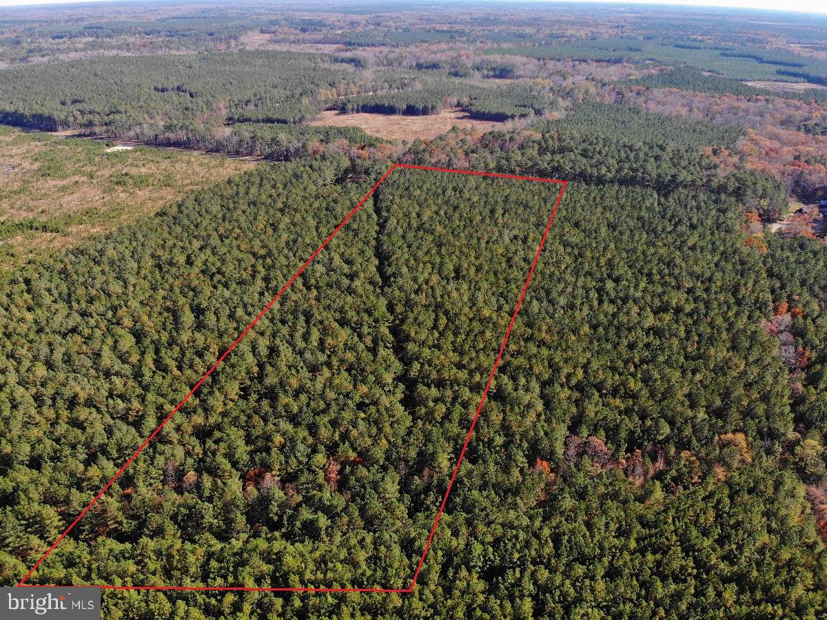 0 POLE RUN RD, DISPUTANTA, Virginia 23842, ,Land,For sale,0 POLE RUN RD,VAPV2000100 MLS # VAPV2000100