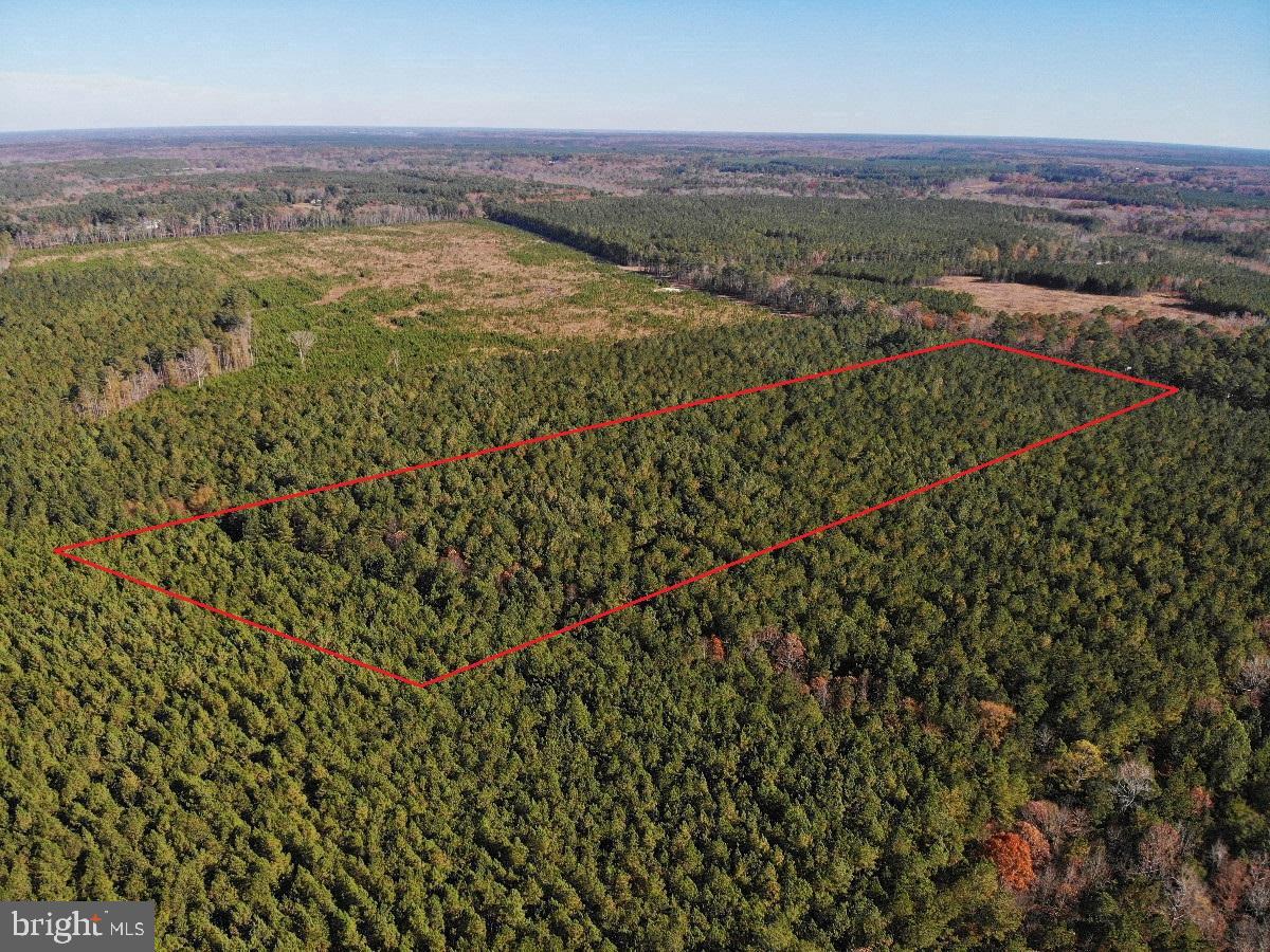0 POLE RUN RD, DISPUTANTA, Virginia 23842, ,Land,For sale,0 POLE RUN RD,VAPV2000100 MLS # VAPV2000100