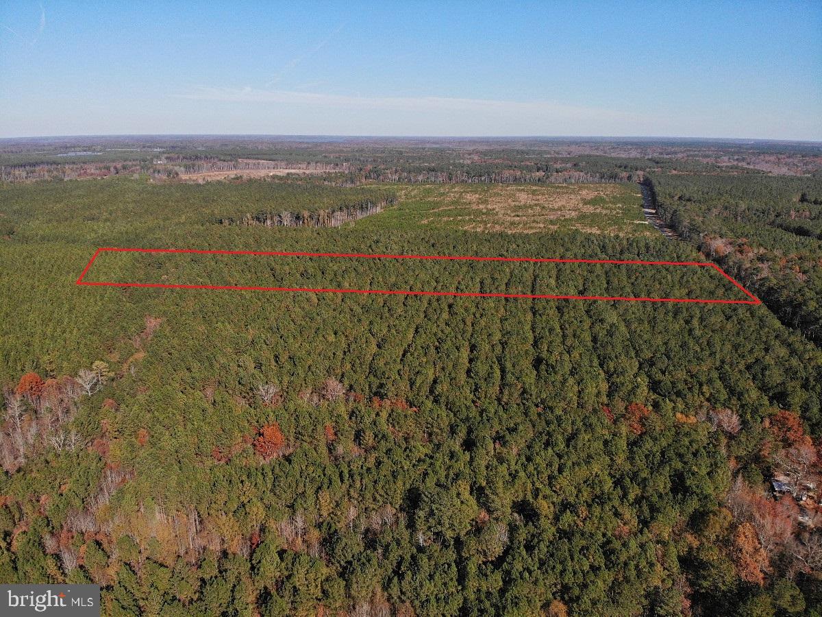 0 POLE RUN RD, DISPUTANTA, Virginia 23842, ,Land,For sale,0 POLE RUN RD,VAPV2000100 MLS # VAPV2000100