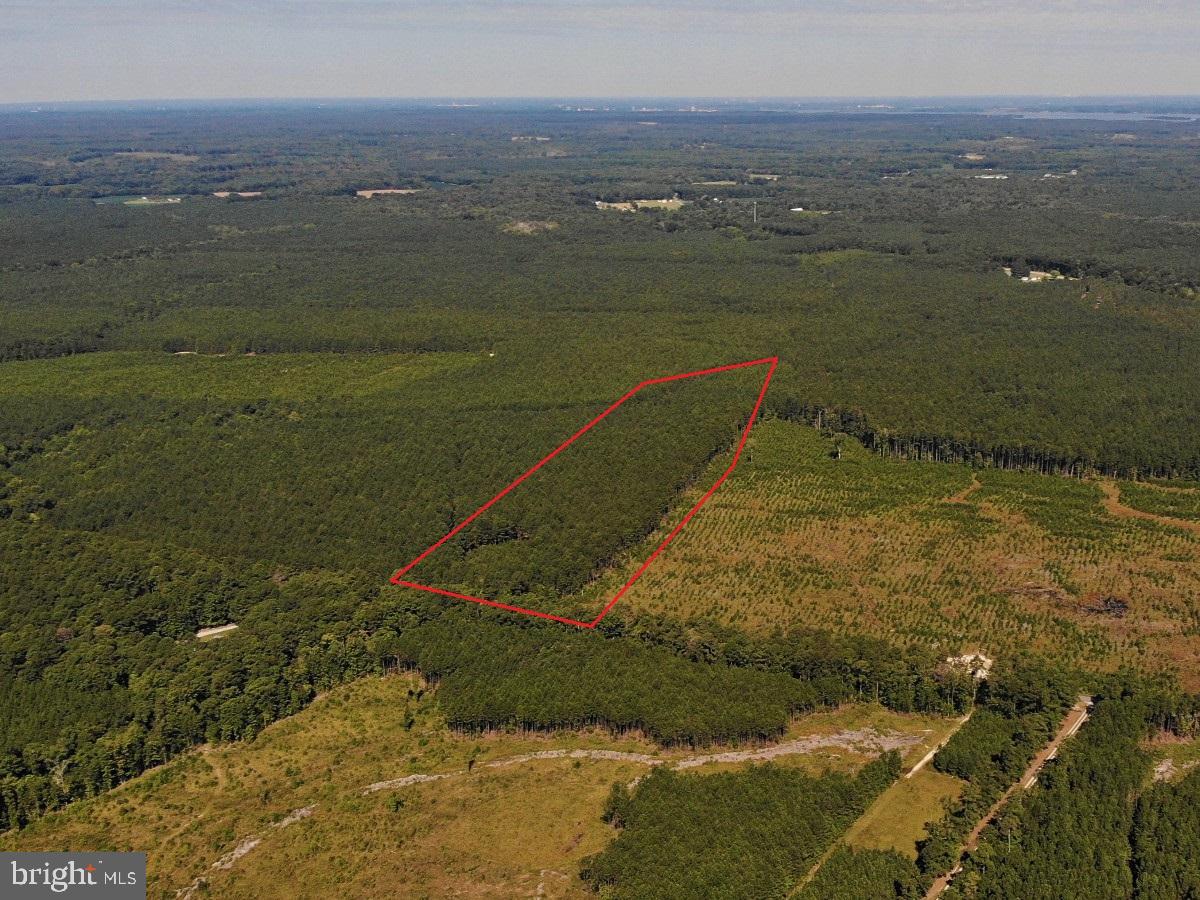 0 POLE RUN RD, DISPUTANTA, Virginia 23842, ,Land,For sale,0 POLE RUN RD,VAPV2000102 MLS # VAPV2000102