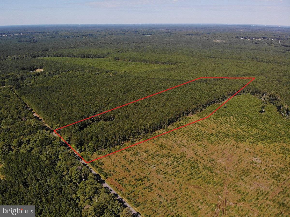 0 POLE RUN RD, DISPUTANTA, Virginia 23842, ,Land,For sale,0 POLE RUN RD,VAPV2000102 MLS # VAPV2000102