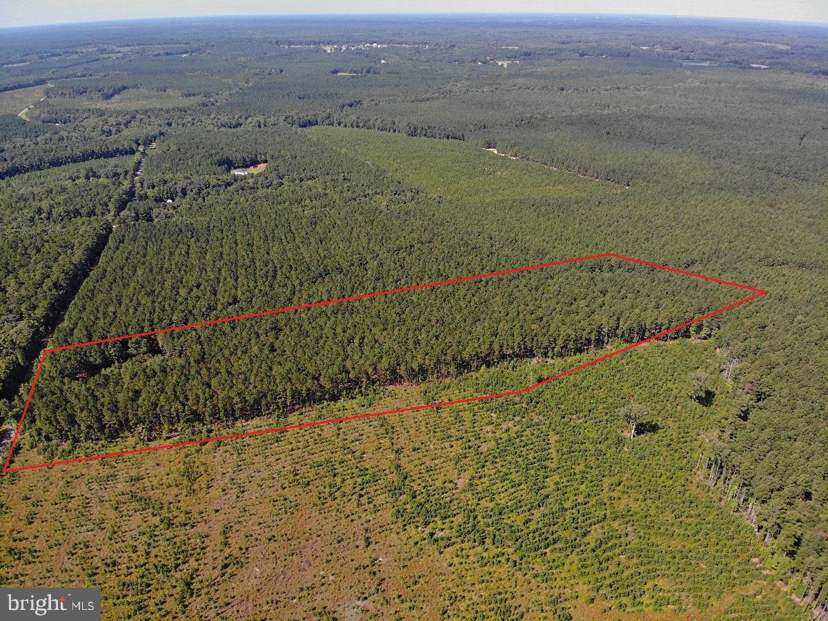 0 POLE RUN RD, DISPUTANTA, Virginia 23842, ,Land,For sale,0 POLE RUN RD,VAPV2000102 MLS # VAPV2000102