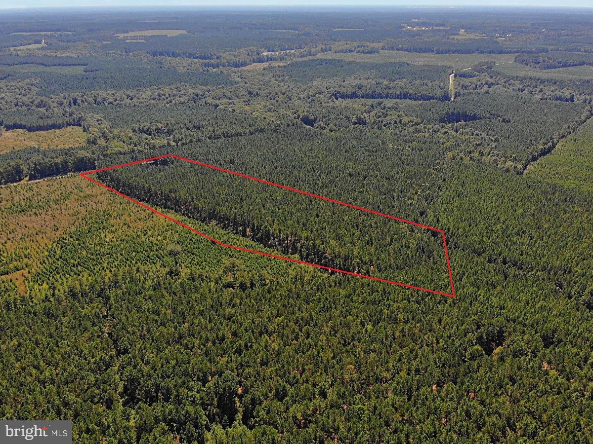 0 POLE RUN RD, DISPUTANTA, Virginia 23842, ,Land,For sale,0 POLE RUN RD,VAPV2000102 MLS # VAPV2000102