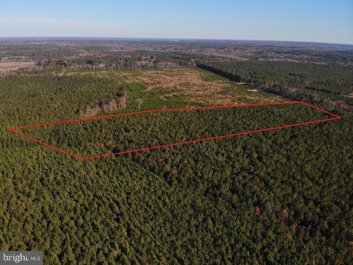 0 POLE RUN RD, DISPUTANTA, Virginia 23842, ,Land,For sale,0 POLE RUN RD,VAPV2000102 MLS # VAPV2000102