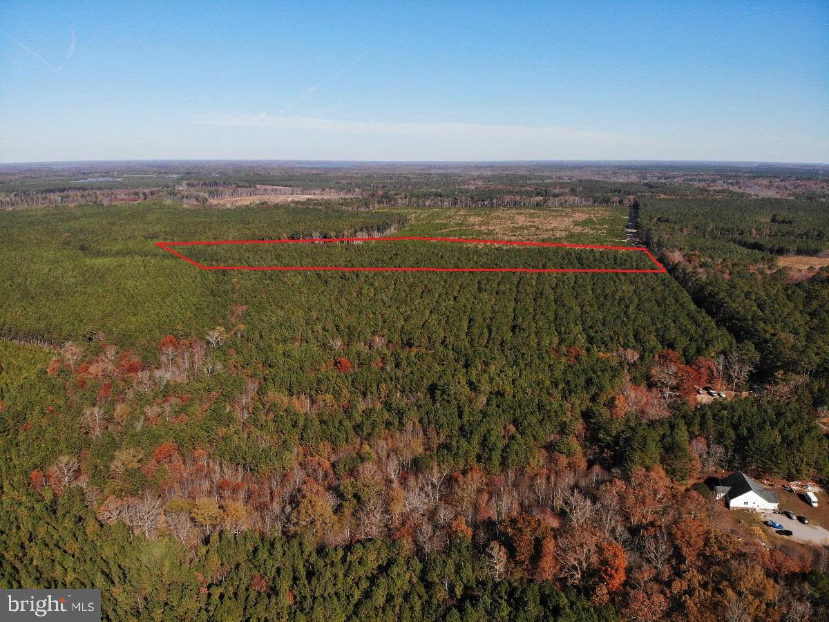 0 POLE RUN RD, DISPUTANTA, Virginia 23842, ,Land,For sale,0 POLE RUN RD,VAPV2000102 MLS # VAPV2000102