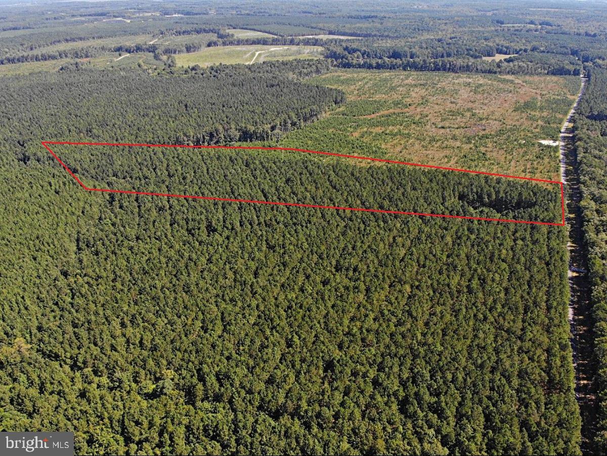 0 POLE RUN RD, DISPUTANTA, Virginia 23842, ,Land,For sale,0 POLE RUN RD,VAPV2000102 MLS # VAPV2000102