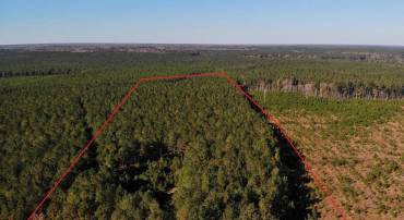 0 POLE RUN RD, DISPUTANTA, Virginia 23842, ,Land,For sale,0 POLE RUN RD,VAPV2000102 MLS # VAPV2000102