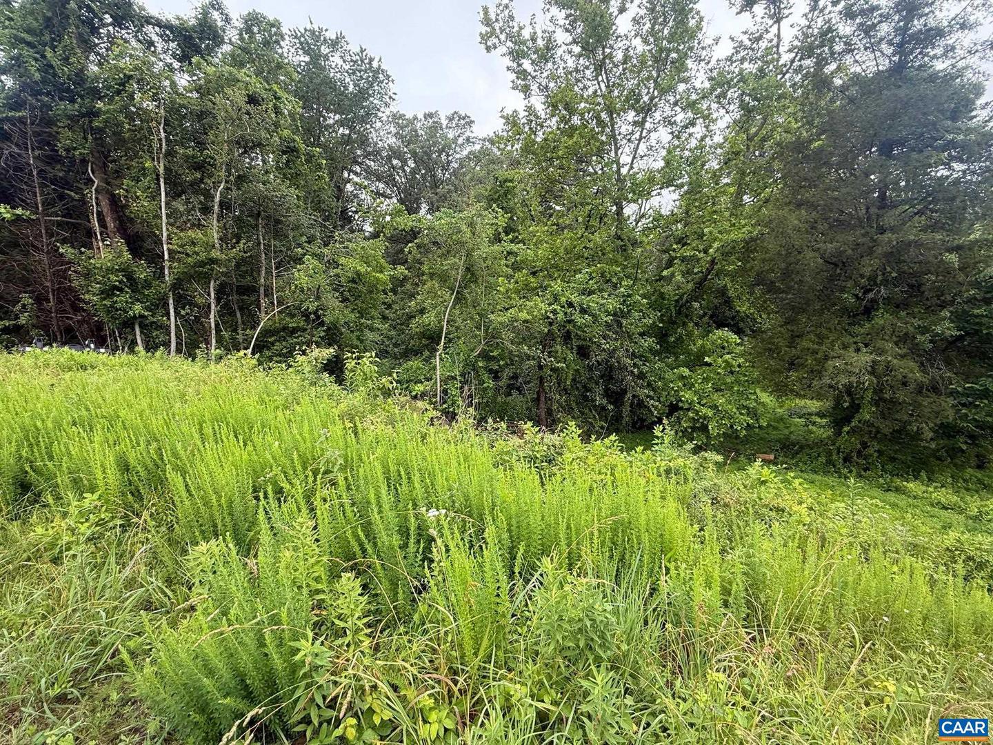 5971 SEMINOLE TRL, BARBOURSVILLE, Virginia 22923, ,Land,For sale,5971 SEMINOLE TRL,672422 MLS # 672422