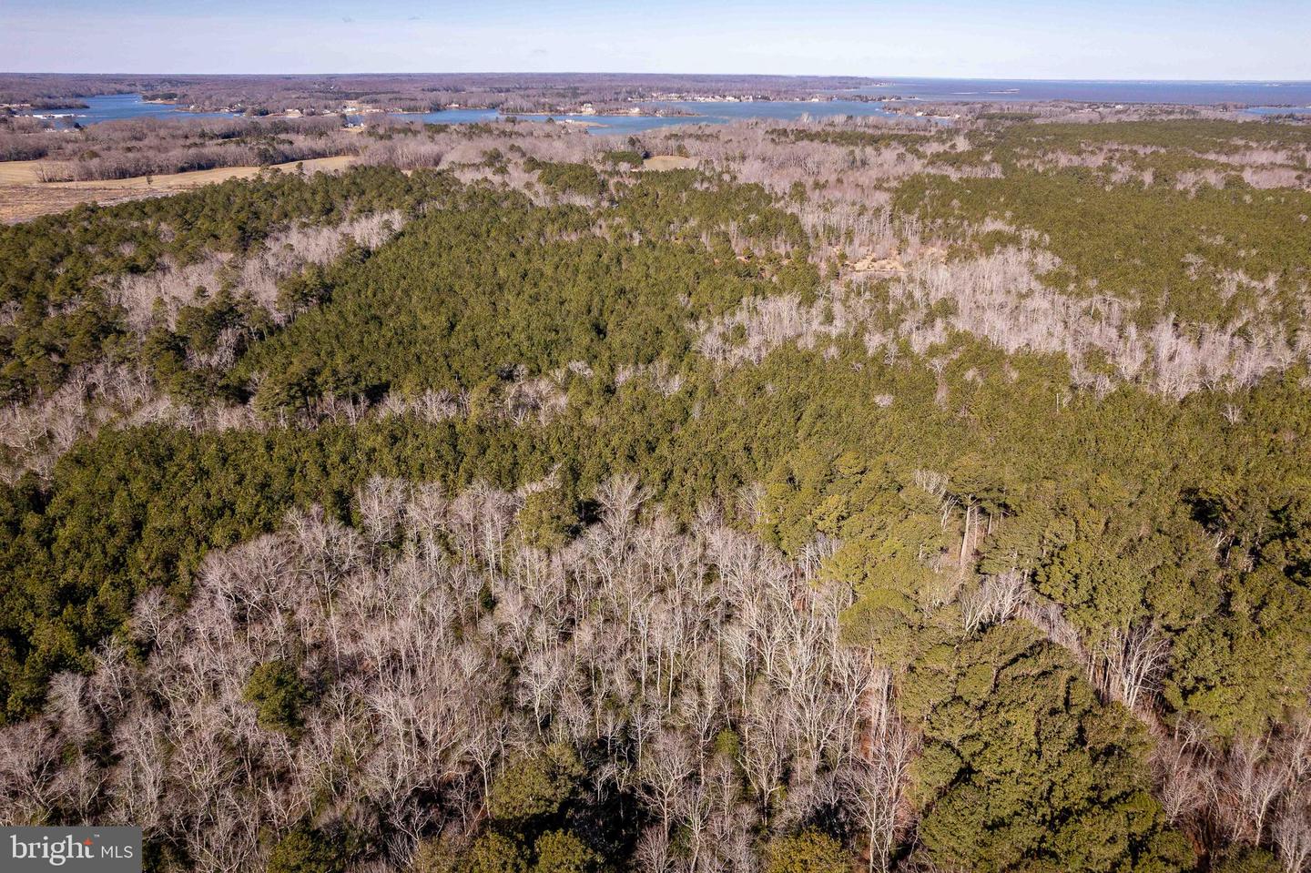 1960 ERICA RD, MONTROSS, Virginia 22520, 3 Bedrooms Bedrooms, ,2 BathroomsBathrooms,Residential,For sale,1960 ERICA RD,VAWE2010302 MLS # VAWE2010302