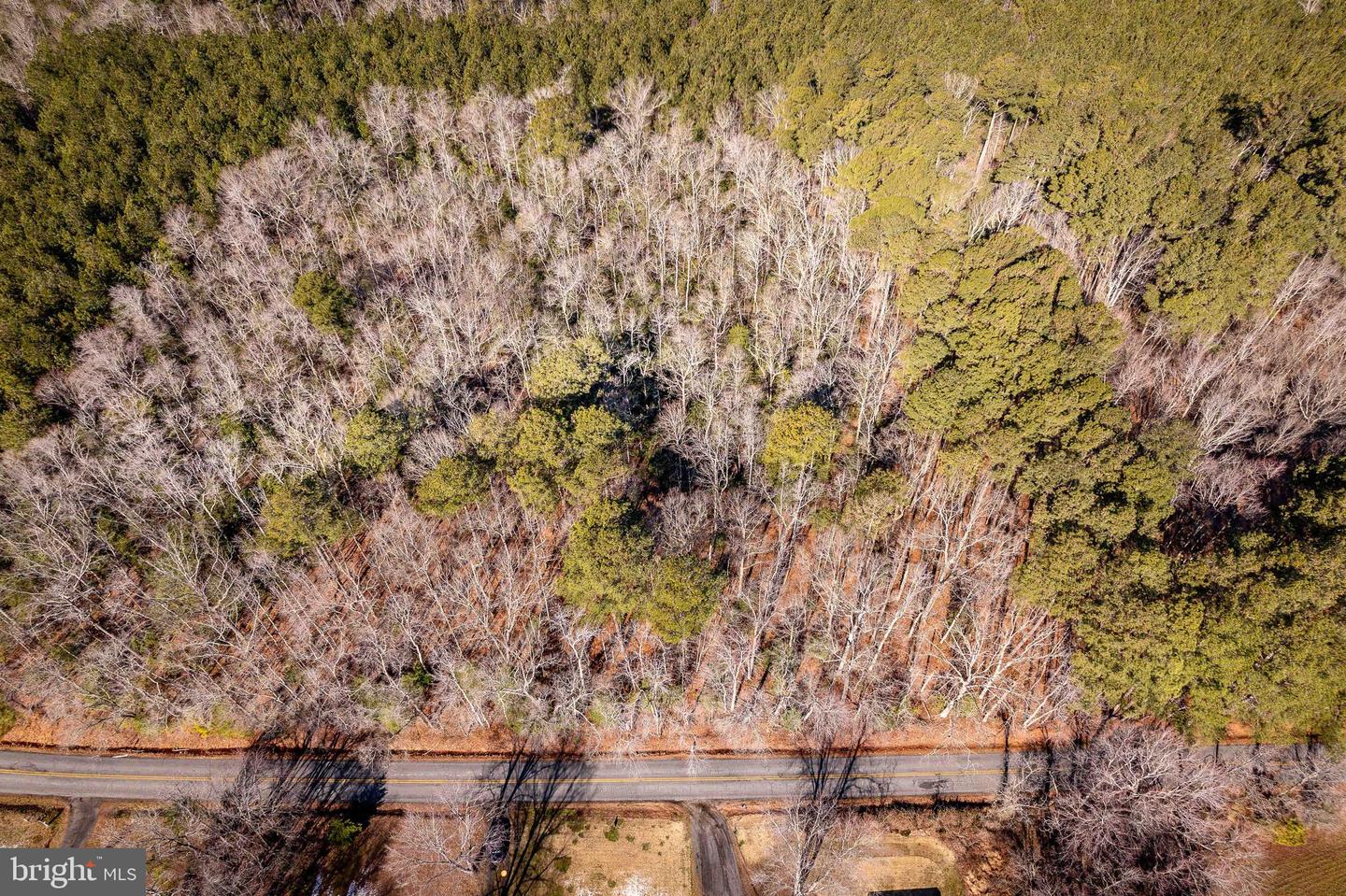 1960 ERICA RD, MONTROSS, Virginia 22520, 3 Bedrooms Bedrooms, ,2 BathroomsBathrooms,Residential,For sale,1960 ERICA RD,VAWE2010302 MLS # VAWE2010302