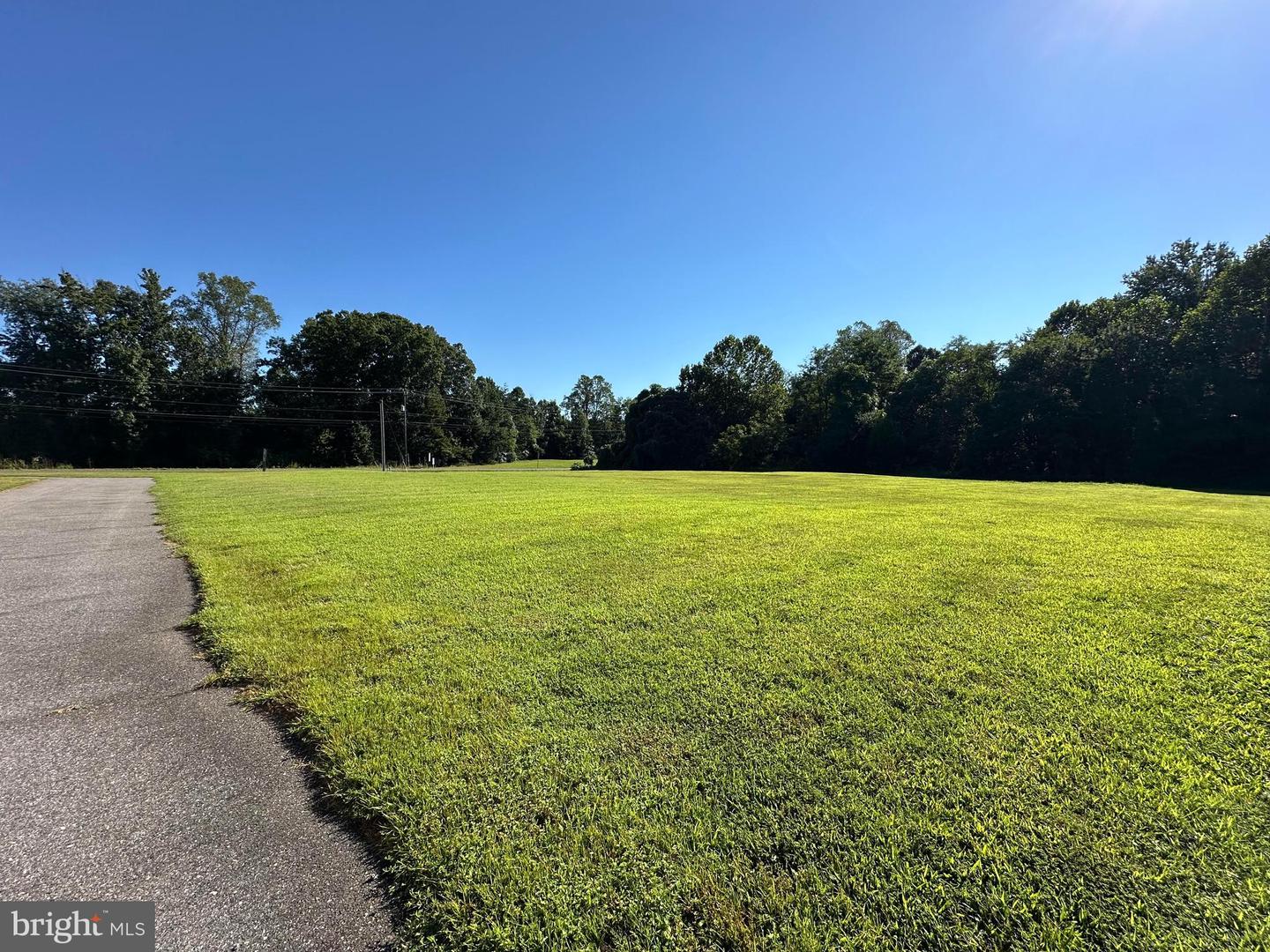 4041 DAVIS HWY, LOUISA, Virginia 23093, ,Land,For sale,4041 DAVIS HWY,VALA2008490 MLS # VALA2008490