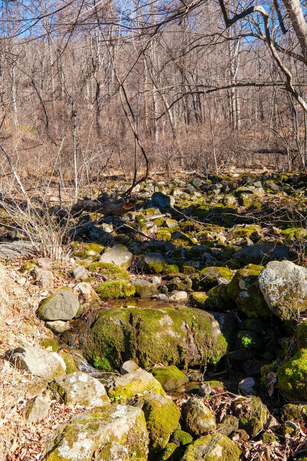 TBD1 FOREST HOMES DR, ELKTON, Virginia 22827, ,Land,TBD1 FOREST HOMES DR,672439 MLS # 672439