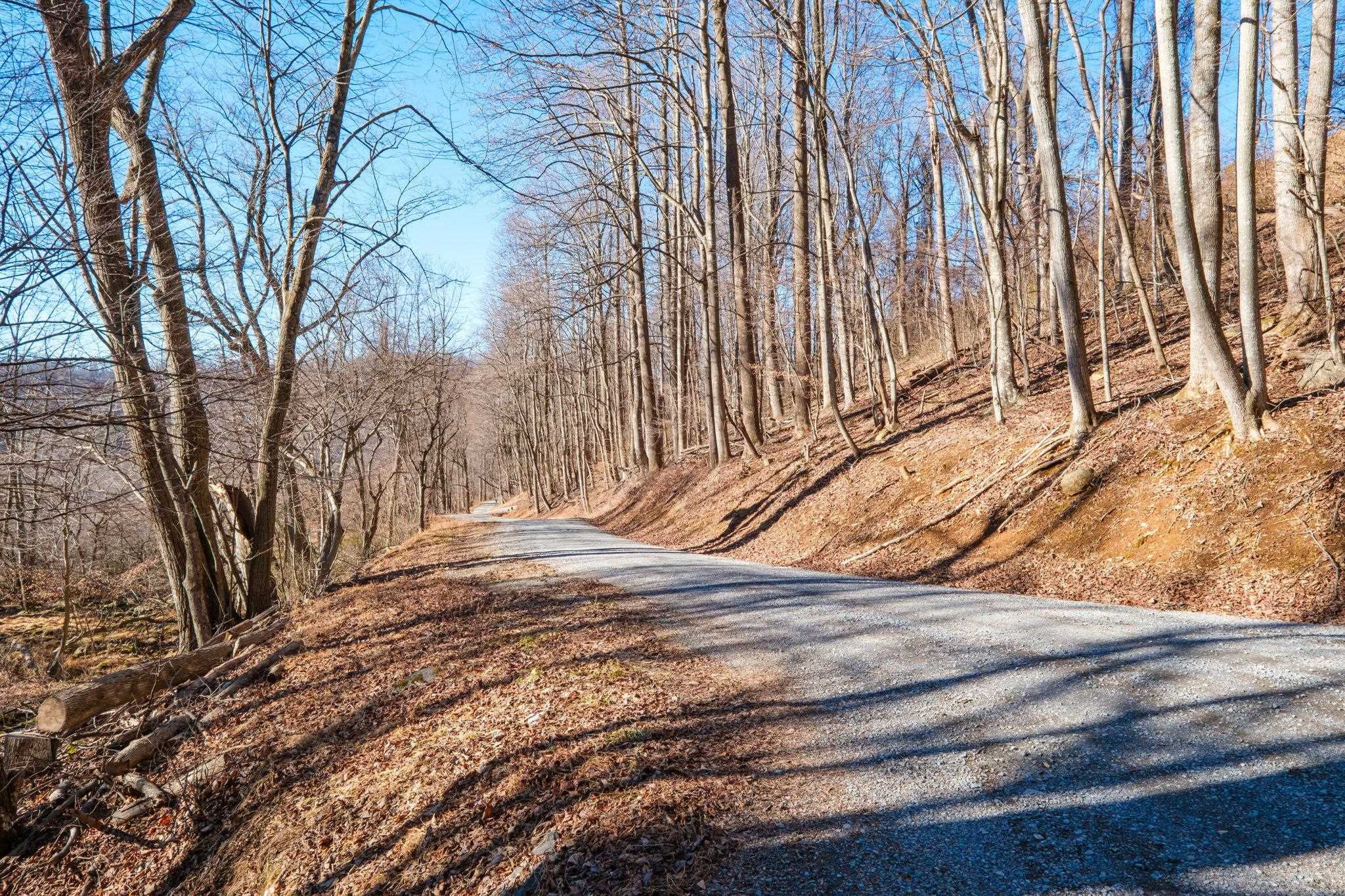 TBD1 FOREST HOMES DR, ELKTON, Virginia 22827, ,Land,TBD1 FOREST HOMES DR,672439 MLS # 672439