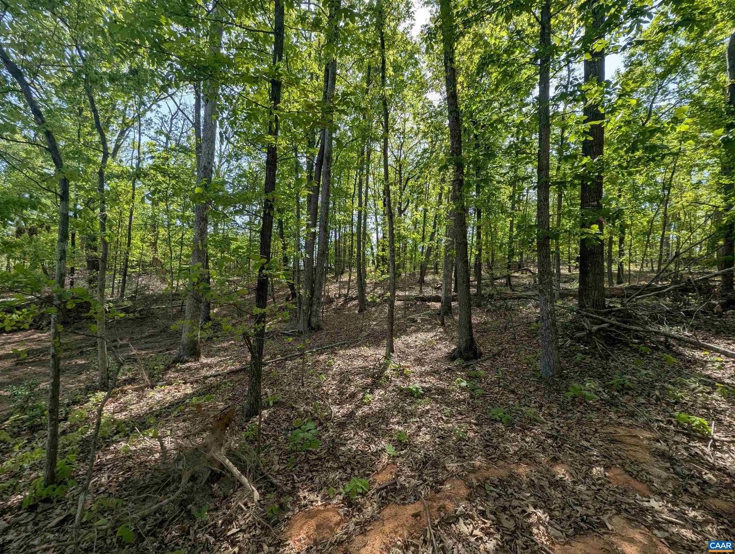 LOT 10 ADVANCE MILLS RD, RUCKERSVILLE, Virginia 22968, ,Land,For sale,LOT 10 ADVANCE MILLS RD,664996 MLS # 664996