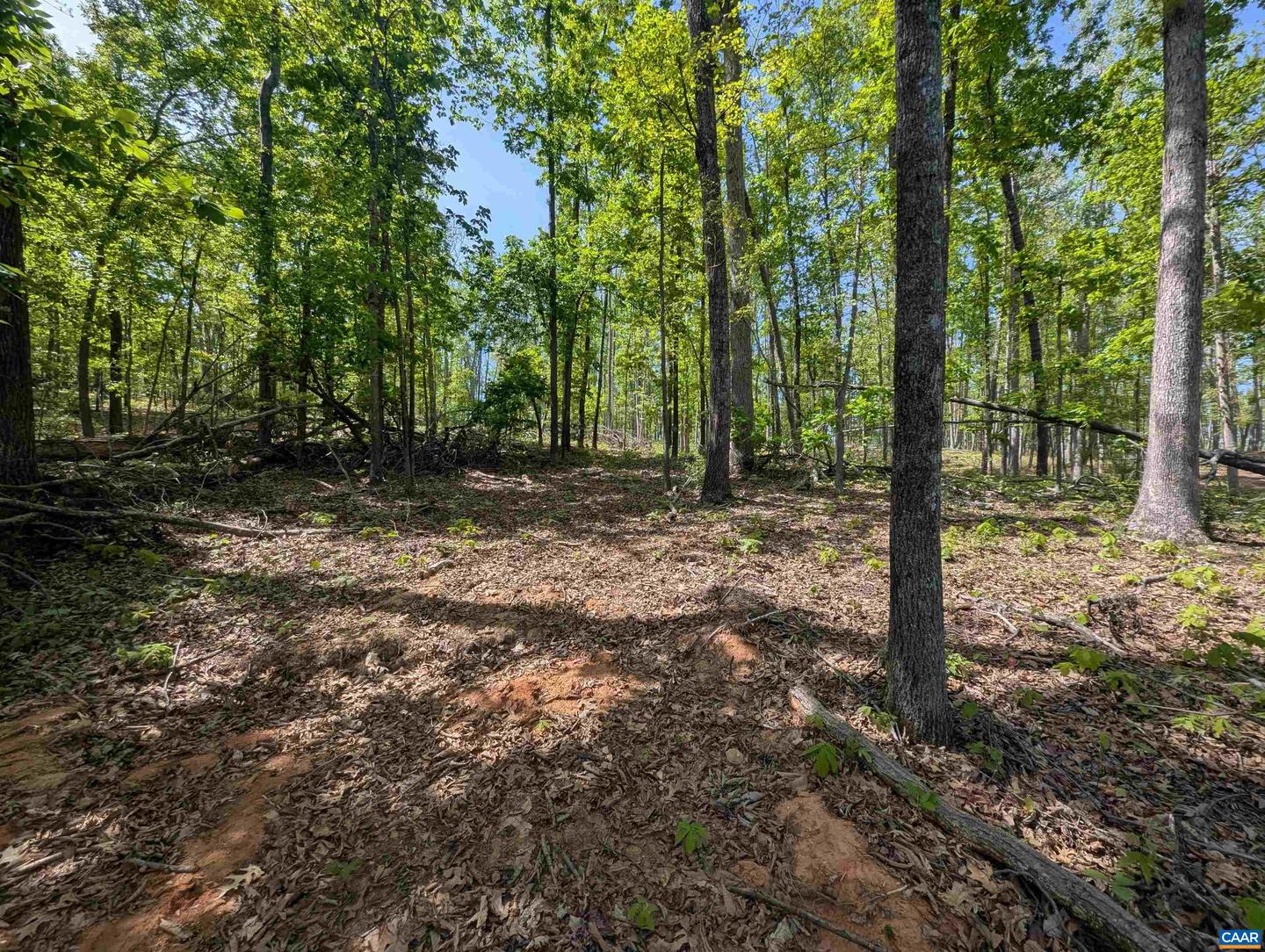 LOT 10 ADVANCE MILLS RD, RUCKERSVILLE, Virginia 22968, ,Land,For sale,LOT 10 ADVANCE MILLS RD,664996 MLS # 664996