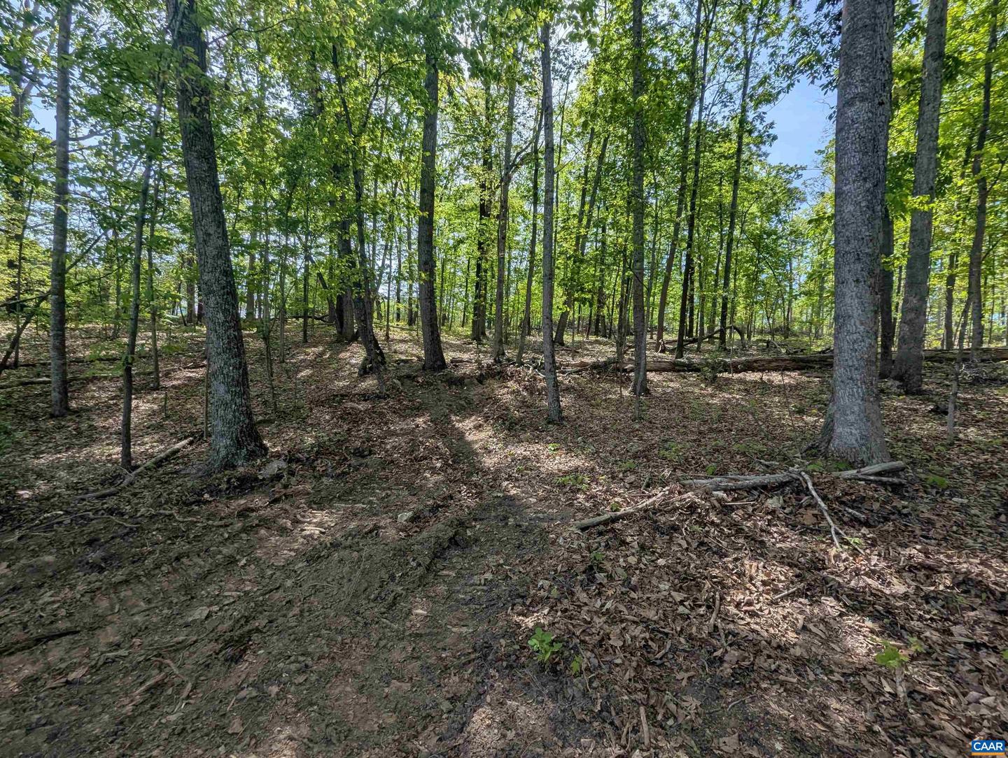 LOT 10 ADVANCE MILLS RD, RUCKERSVILLE, Virginia 22968, ,Land,For sale,LOT 10 ADVANCE MILLS RD,664996 MLS # 664996