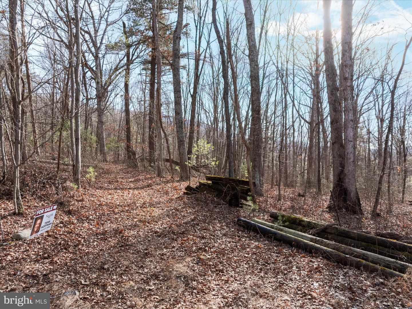 CATRON RIDGE ROAD, BENTONVILLE, Virginia 22610, ,Land,For sale,CATRON RIDGE ROAD,VAWR2013070 MLS # VAWR2013070