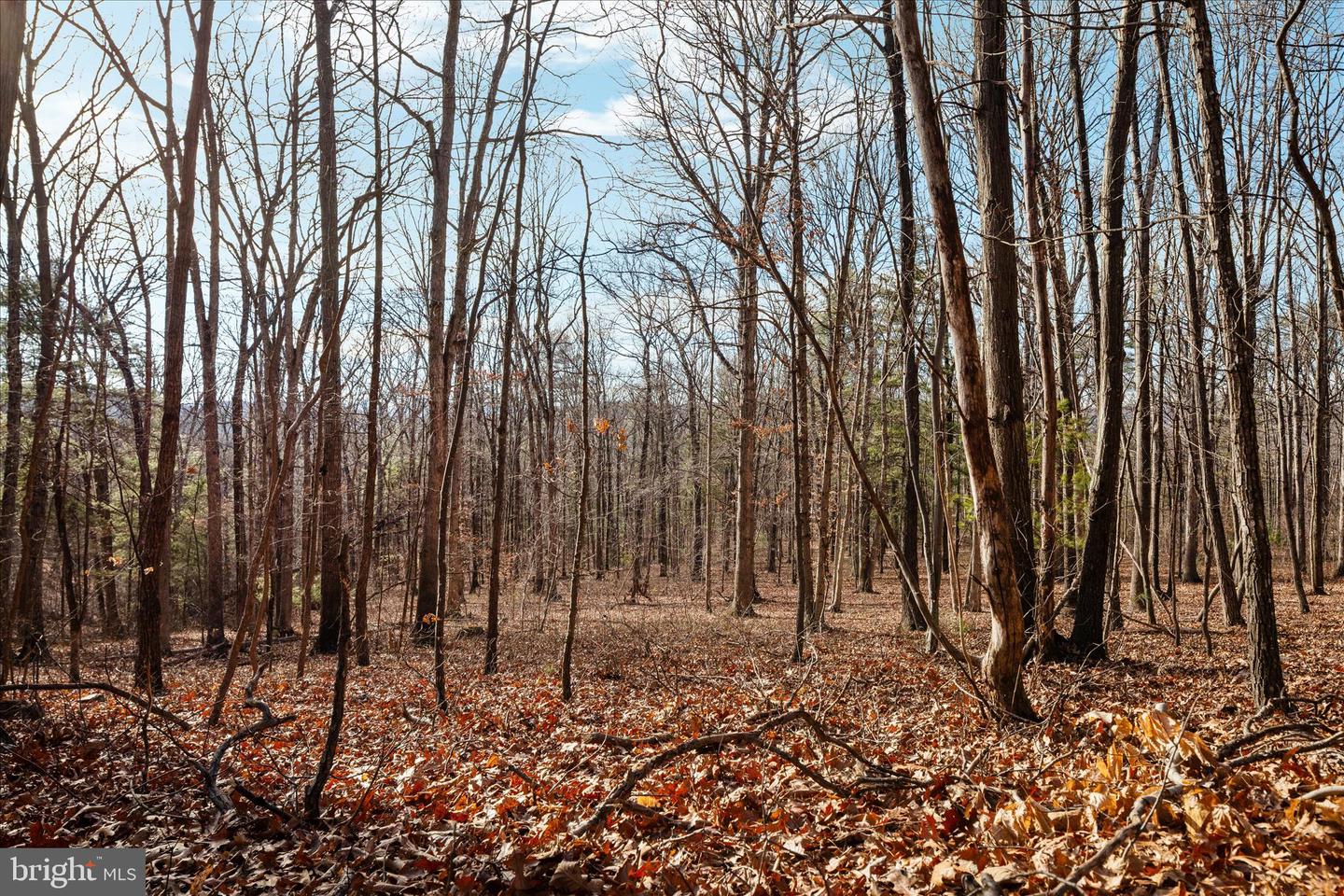 CATRON RIDGE ROAD, BENTONVILLE, Virginia 22610, ,Land,For sale,CATRON RIDGE ROAD,VAWR2013070 MLS # VAWR2013070