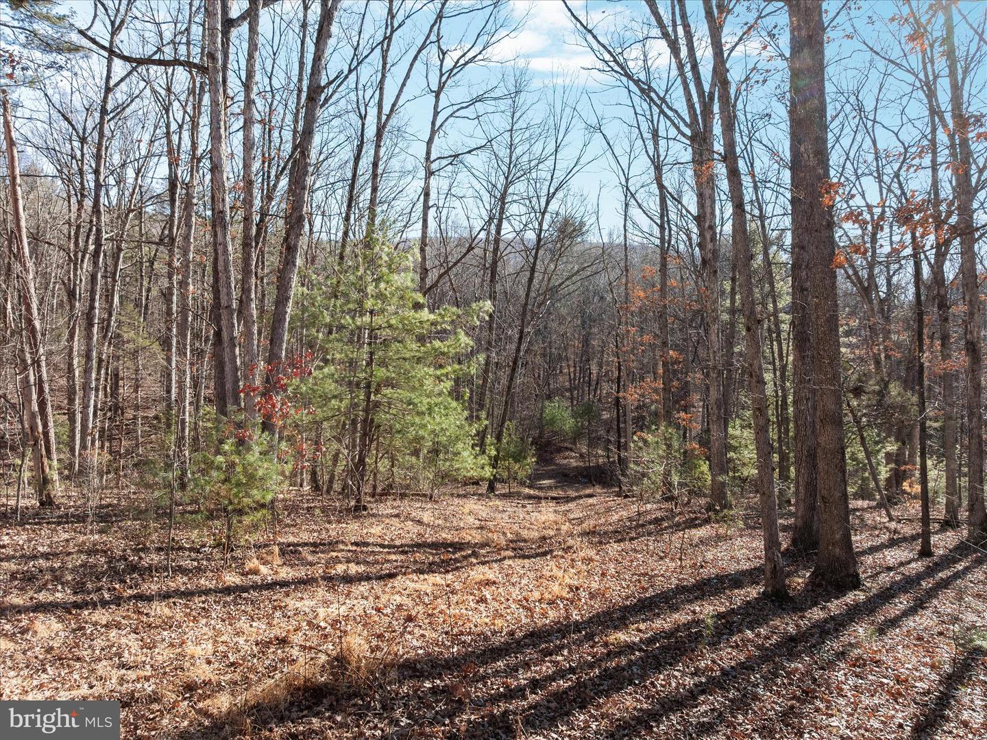 CATRON RIDGE ROAD, BENTONVILLE, Virginia 22610, ,Land,For sale,CATRON RIDGE ROAD,VAWR2013070 MLS # VAWR2013070