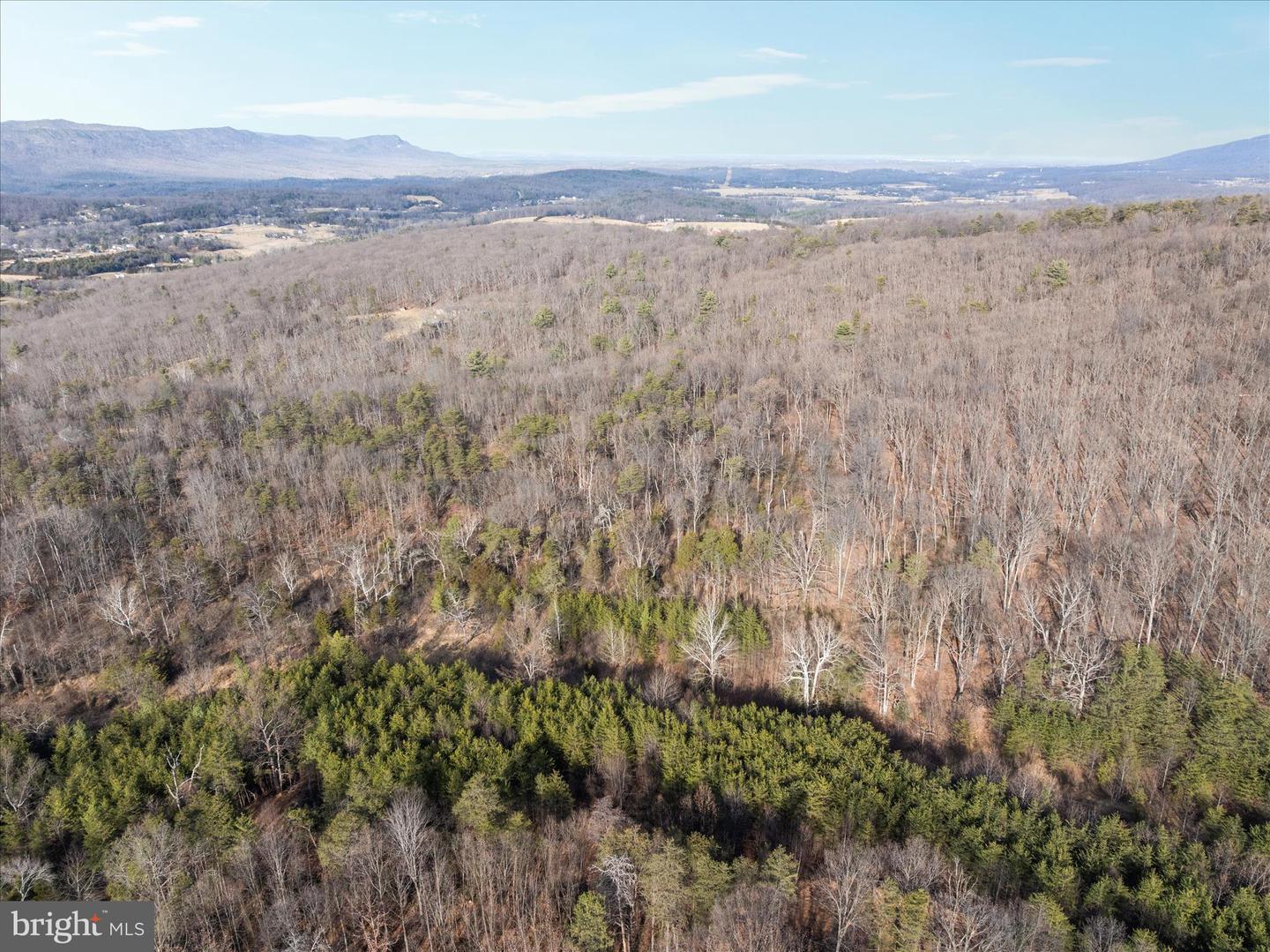 CATRON RIDGE ROAD, BENTONVILLE, Virginia 22610, ,Land,For sale,CATRON RIDGE ROAD,VAWR2013070 MLS # VAWR2013070