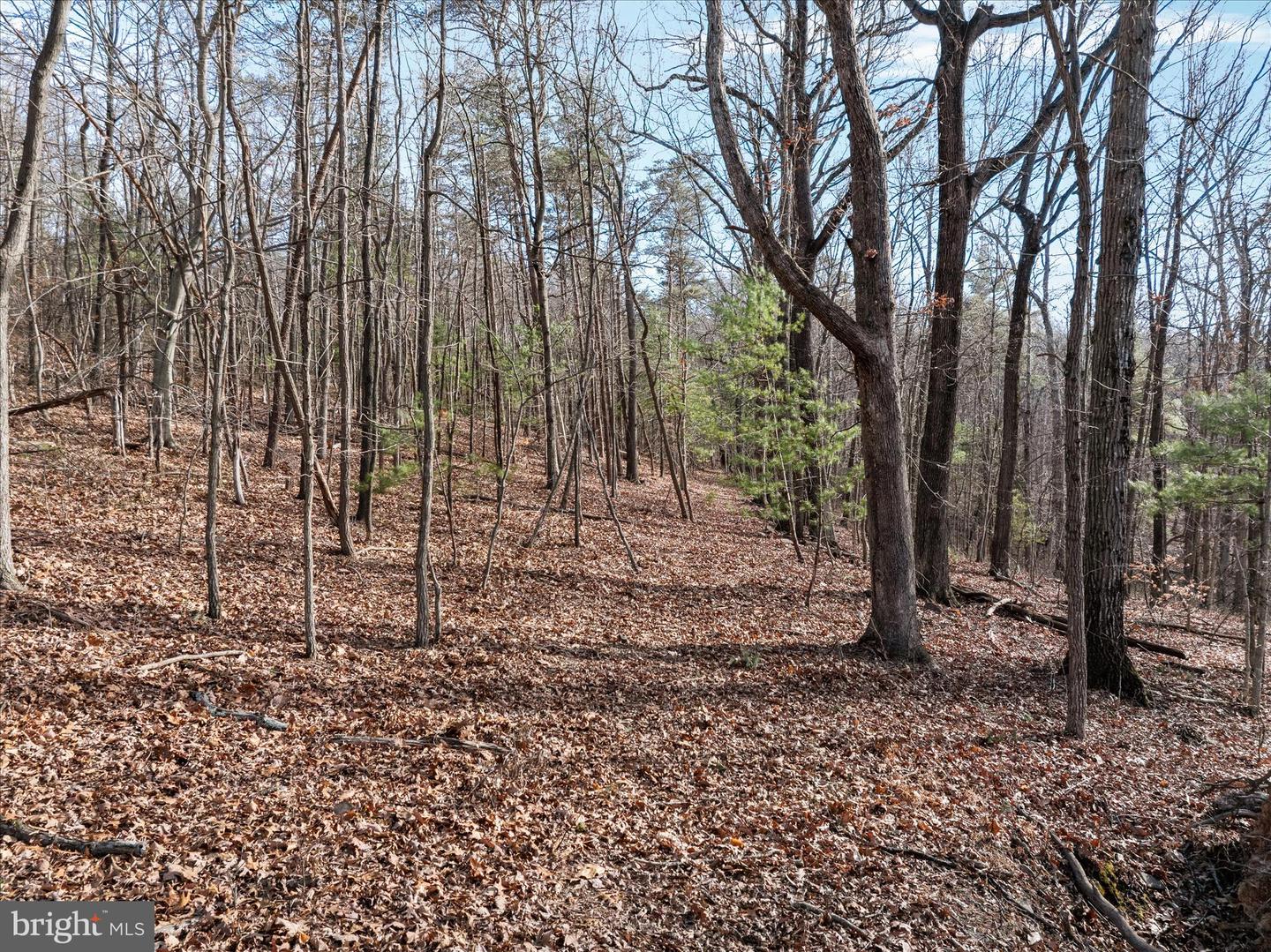 CATRON RIDGE ROAD, BENTONVILLE, Virginia 22610, ,Land,For sale,CATRON RIDGE ROAD,VAWR2013072 MLS # VAWR2013072