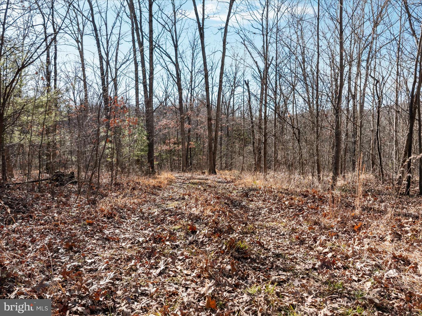 CATRON RIDGE ROAD, BENTONVILLE, Virginia 22610, ,Land,For sale,CATRON RIDGE ROAD,VAWR2013072 MLS # VAWR2013072