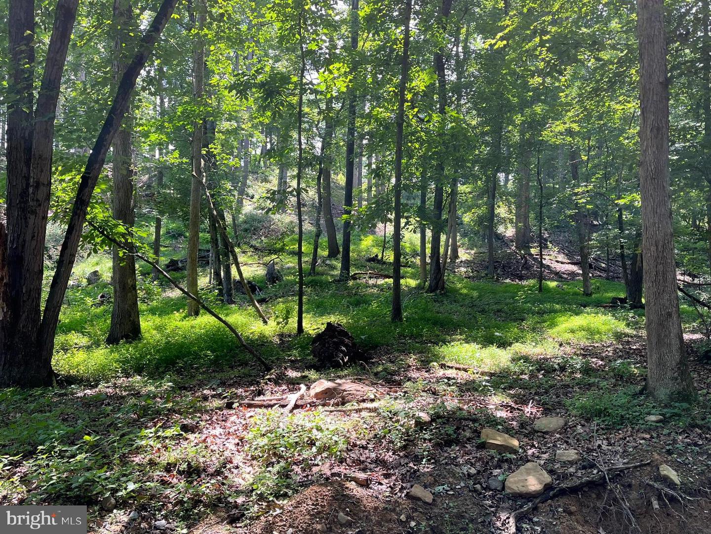 12 GALLOWAY SPRING LN, SHENANDOAH, Virginia 22849, ,Land,For sale,12 GALLOWAY SPRING LN,VAPA2005870 MLS # VAPA2005870