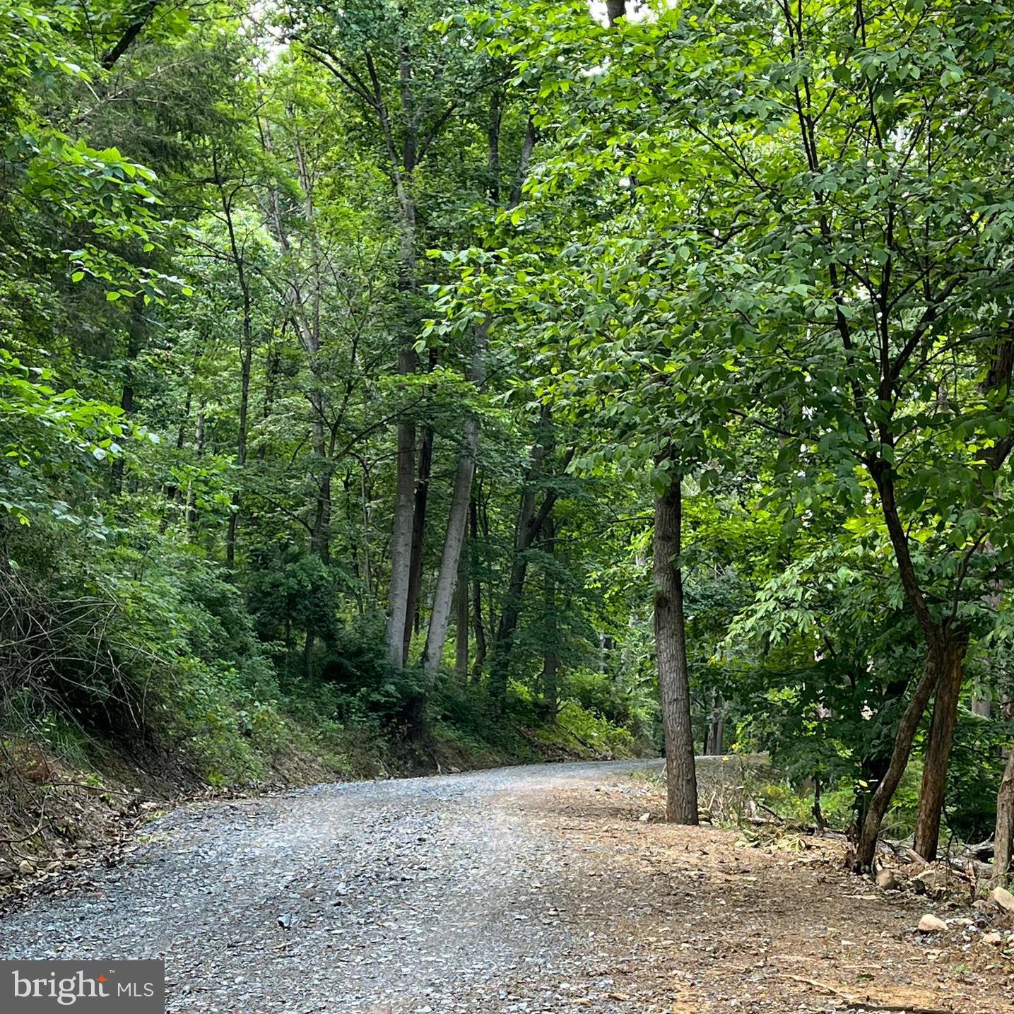 12 GALLOWAY SPRING LN, SHENANDOAH, Virginia 22849, ,Land,For sale,12 GALLOWAY SPRING LN,VAPA2005870 MLS # VAPA2005870