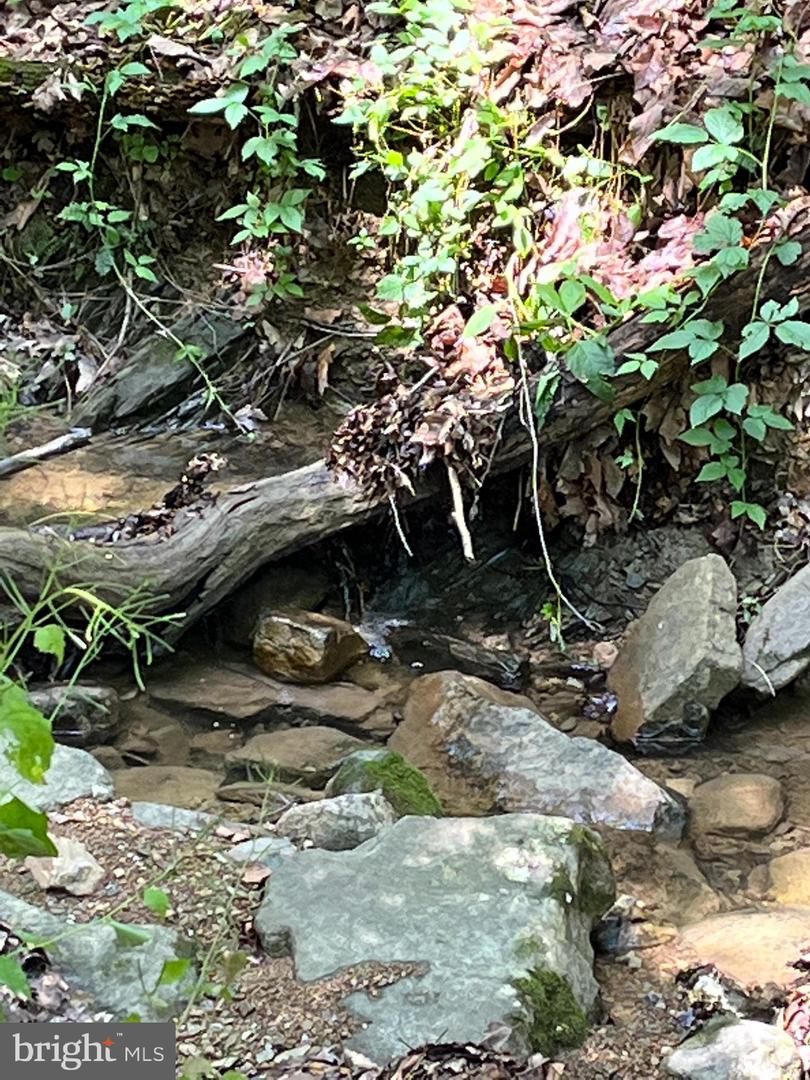 12 GALLOWAY SPRING LN, SHENANDOAH, Virginia 22849, ,Land,For sale,12 GALLOWAY SPRING LN,VAPA2005870 MLS # VAPA2005870