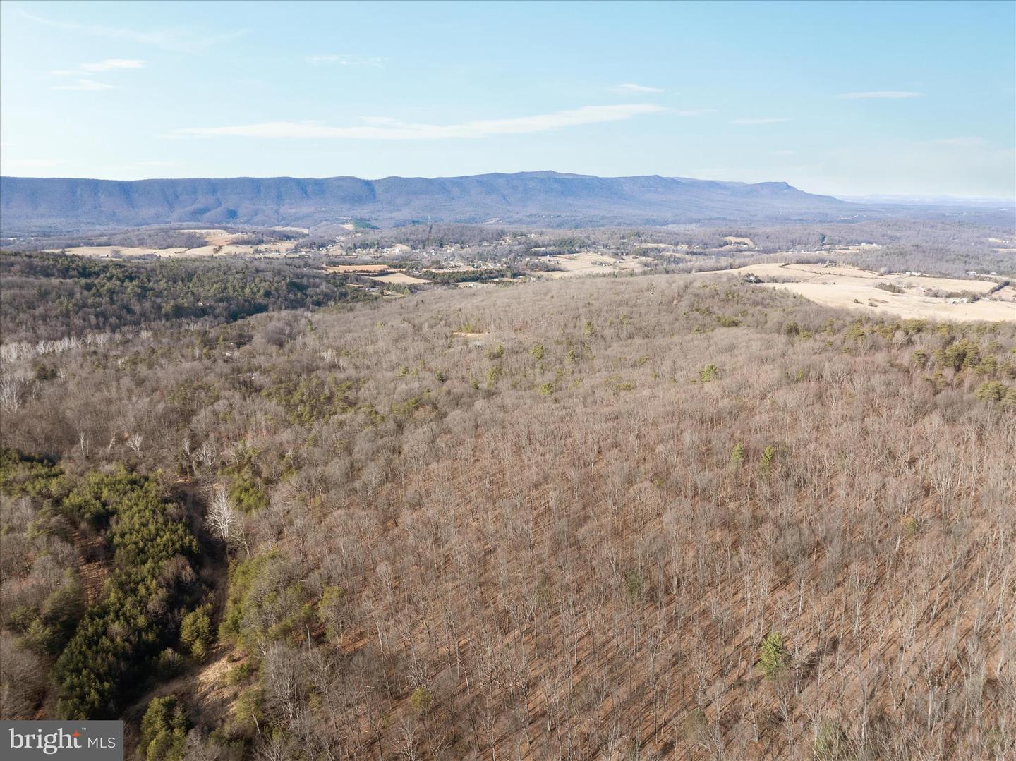CATRON RIDGE ROAD, BENTONVILLE, Virginia 22610, ,Land,For sale,CATRON RIDGE ROAD,VAWR2013110 MLS # VAWR2013110