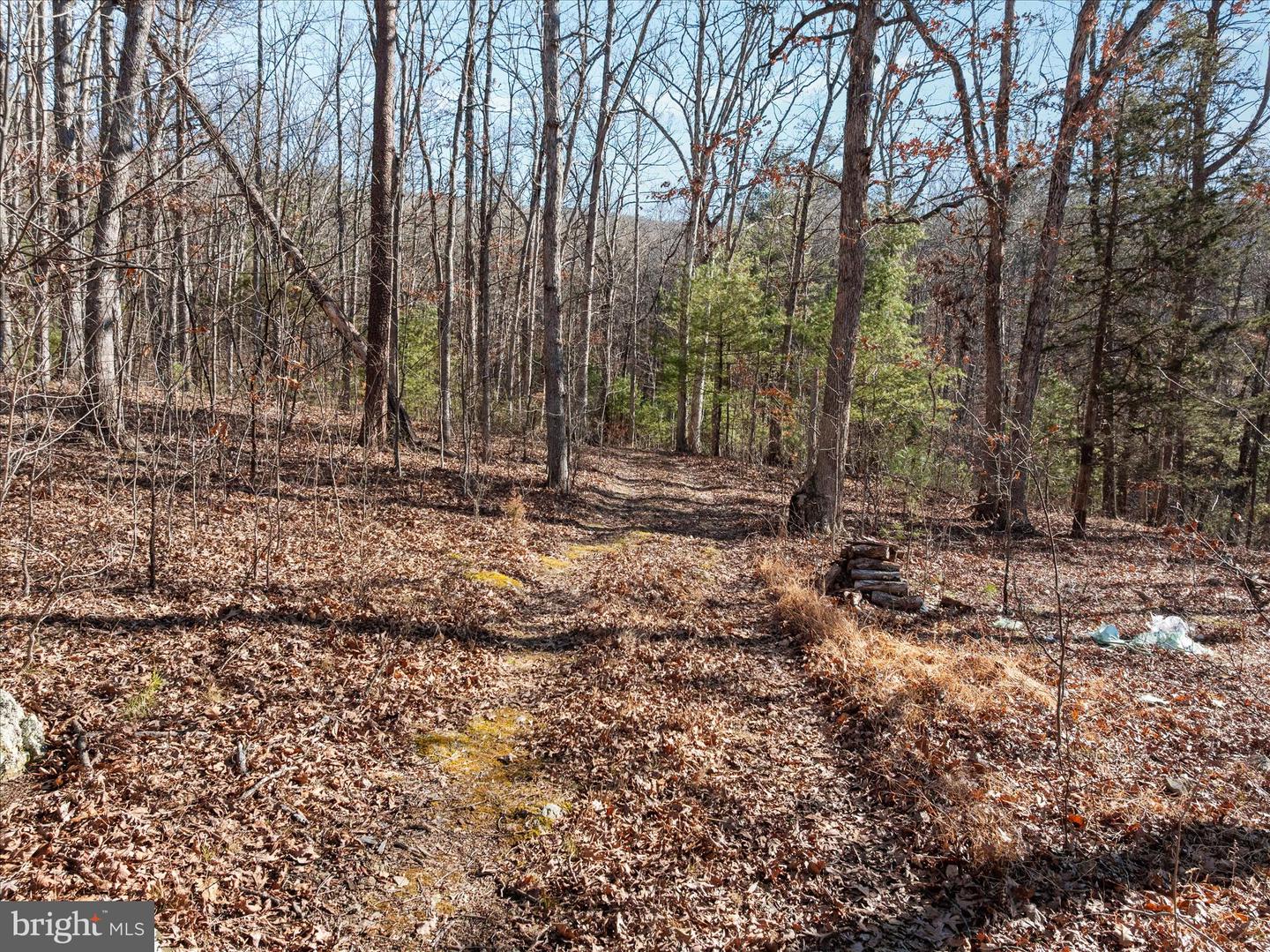 CATRON RIDGE ROAD, BENTONVILLE, Virginia 22610, ,Land,For sale,CATRON RIDGE ROAD,VAWR2013110 MLS # VAWR2013110