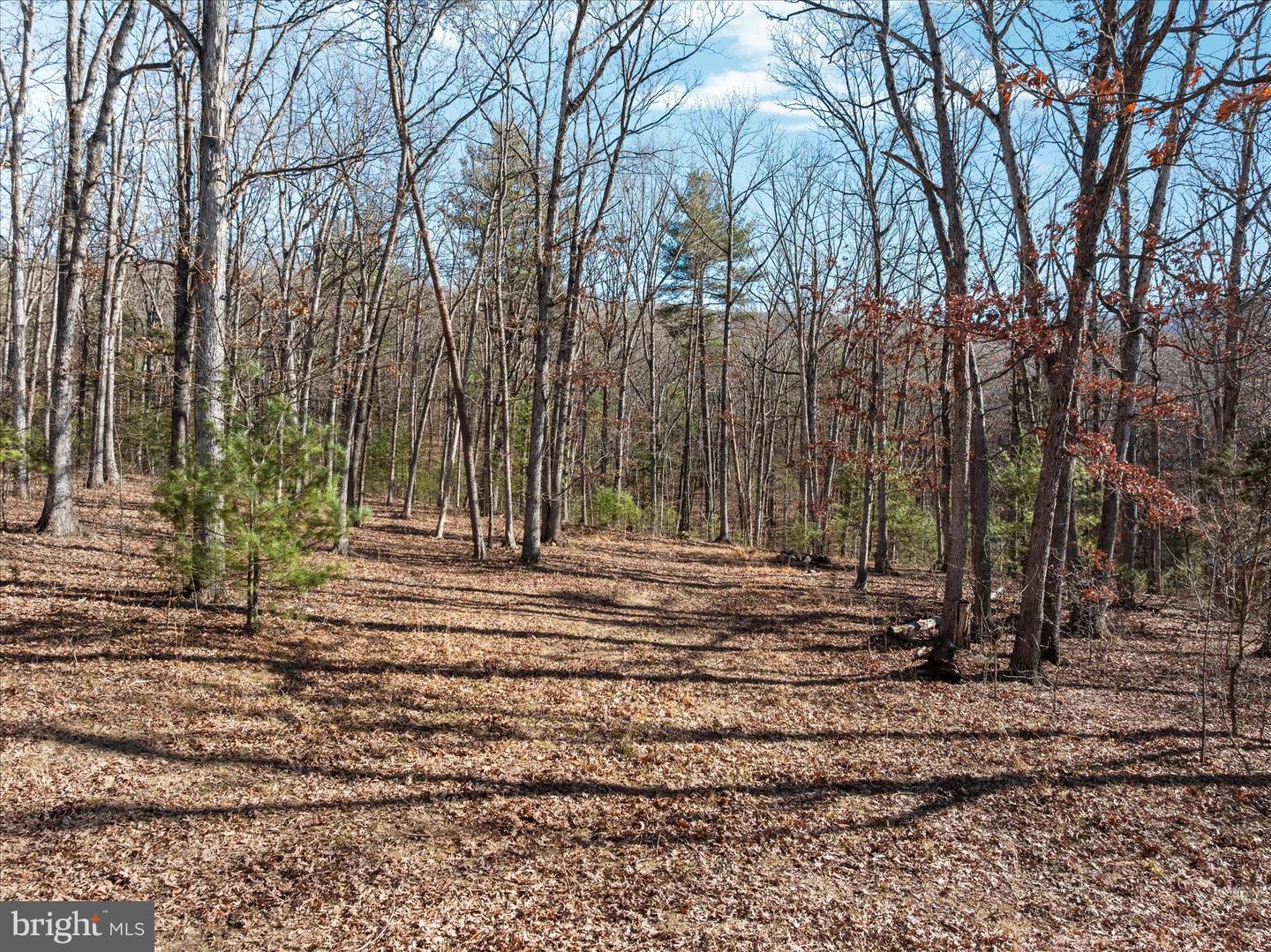 CATRON RIDGE ROAD, BENTONVILLE, Virginia 22610, ,Land,For sale,CATRON RIDGE ROAD,VAWR2013110 MLS # VAWR2013110