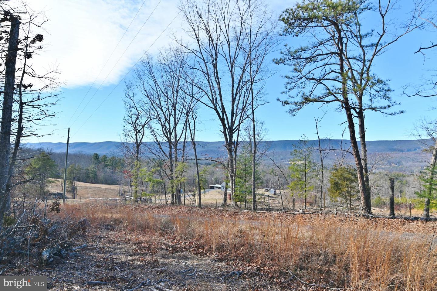 JEROME RD, EDINBURG, Virginia 22824, ,Land,For sale,JEROME RD,VASH2013356 MLS # VASH2013356