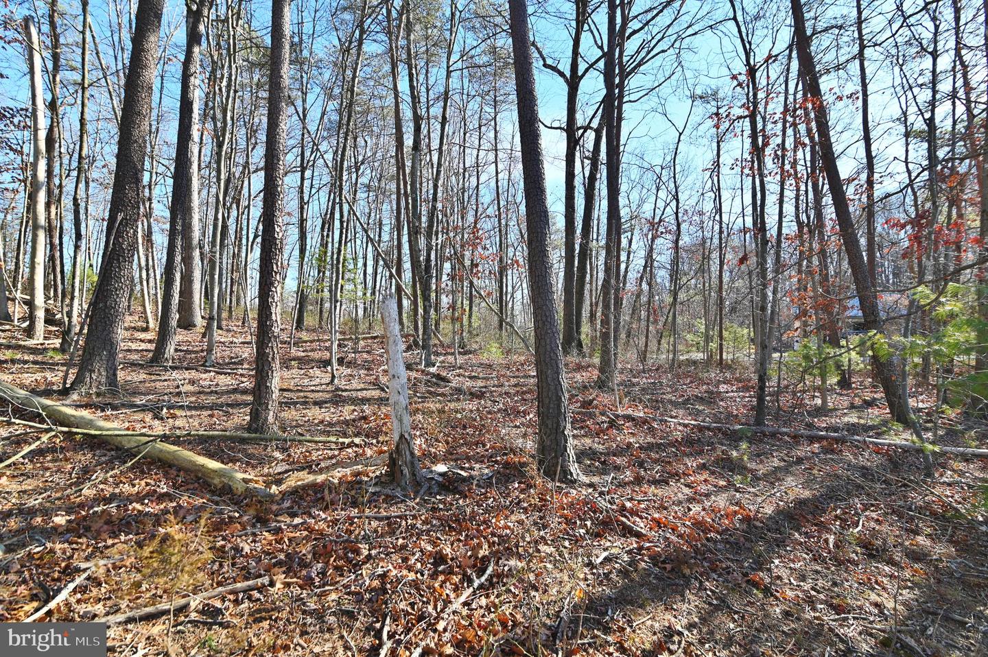 JEROME RD, EDINBURG, Virginia 22824, ,Land,For sale,JEROME RD,VASH2013356 MLS # VASH2013356