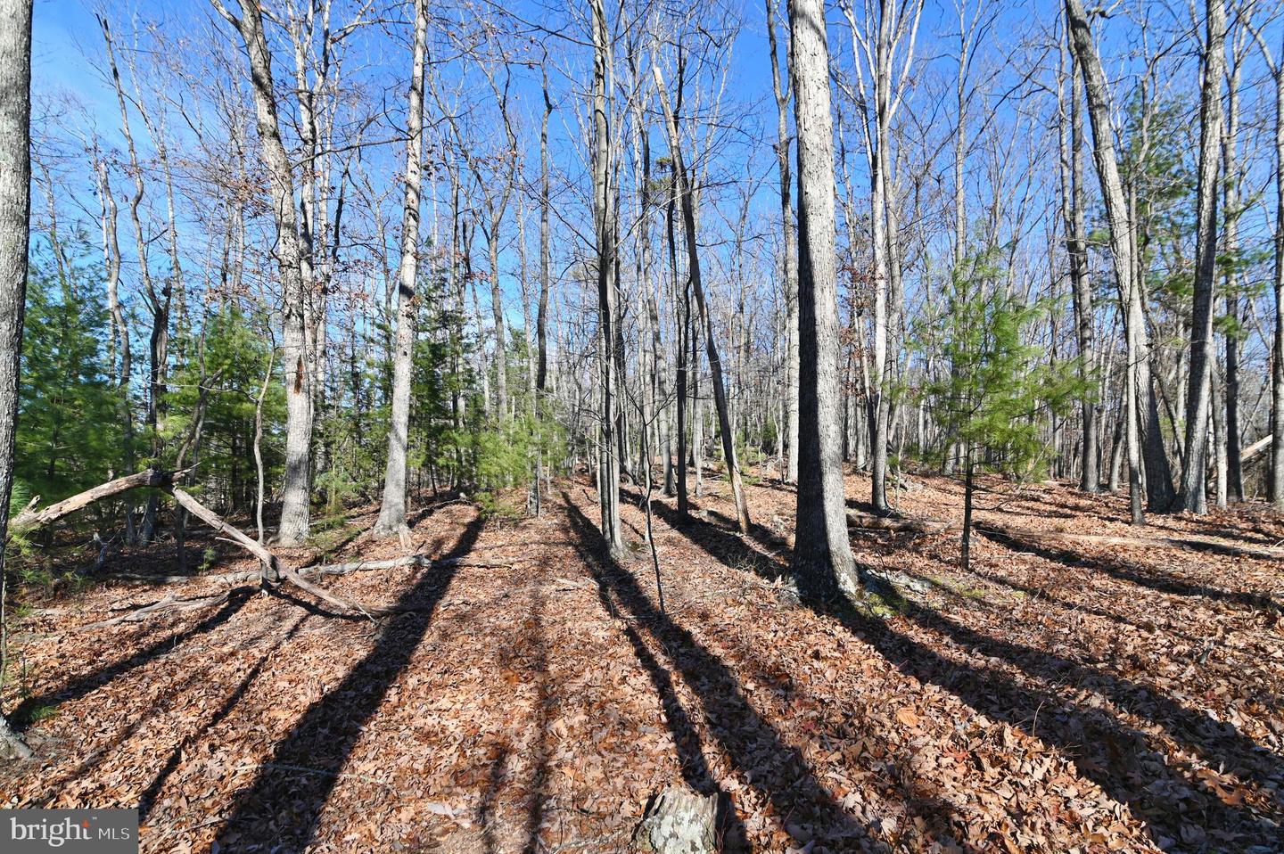 JEROME RD, EDINBURG, Virginia 22824, ,Land,For sale,JEROME RD,VASH2013356 MLS # VASH2013356