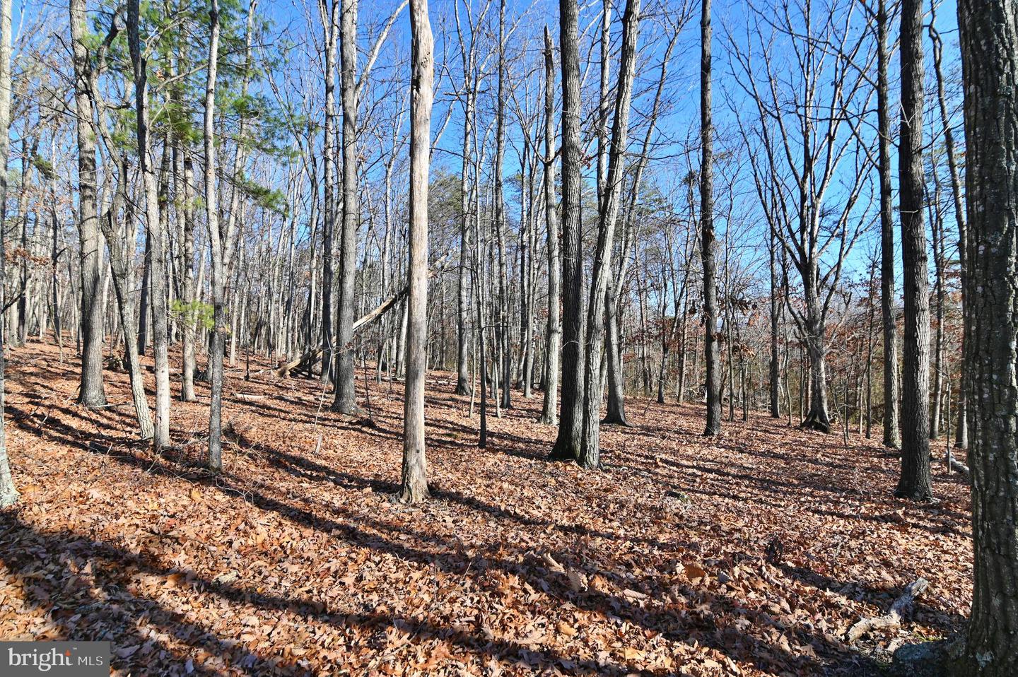 JEROME RD, EDINBURG, Virginia 22824, ,Land,For sale,JEROME RD,VASH2013356 MLS # VASH2013356