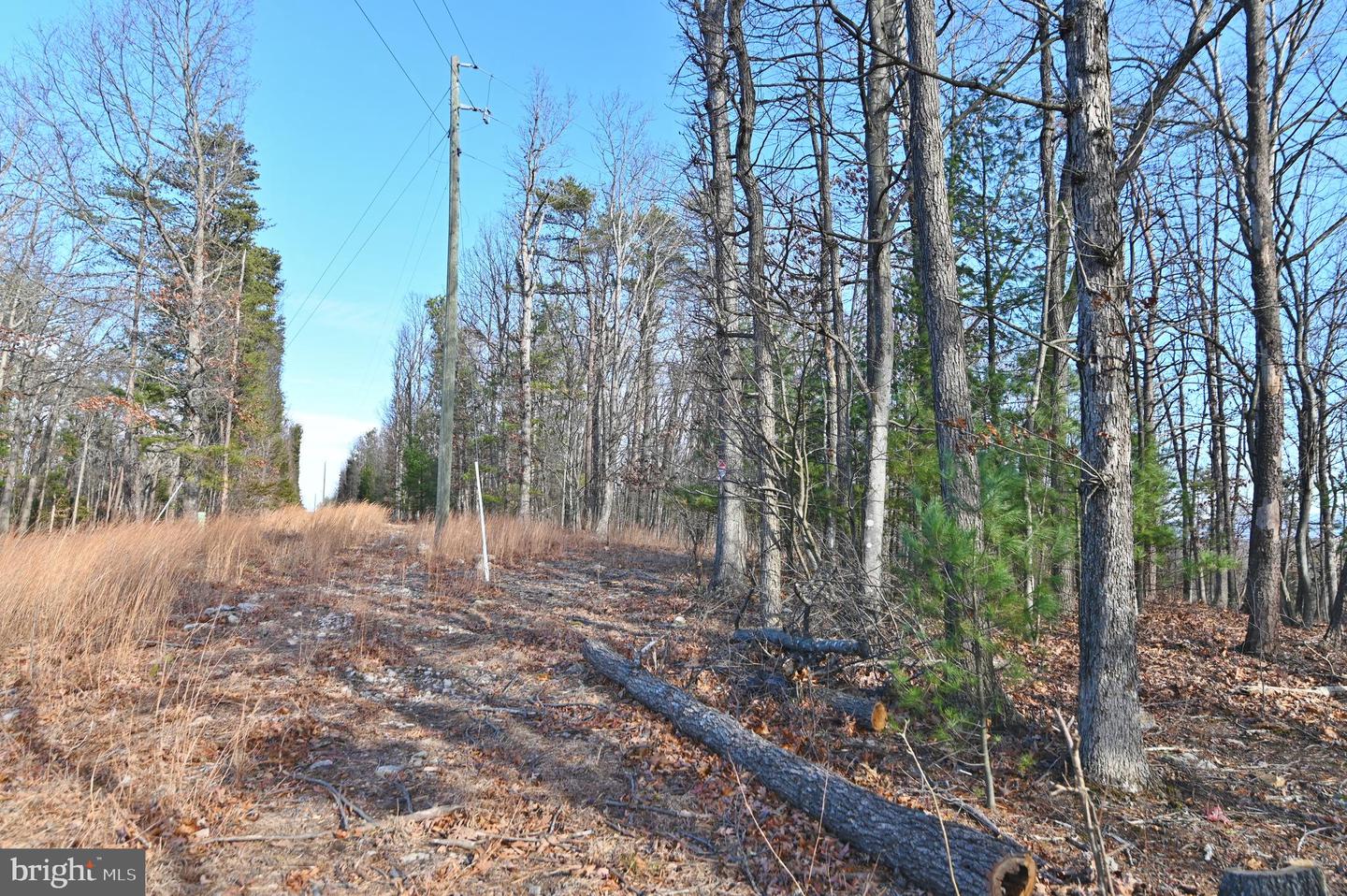 JEROME RD, EDINBURG, Virginia 22824, ,Land,For sale,JEROME RD,VASH2013356 MLS # VASH2013356