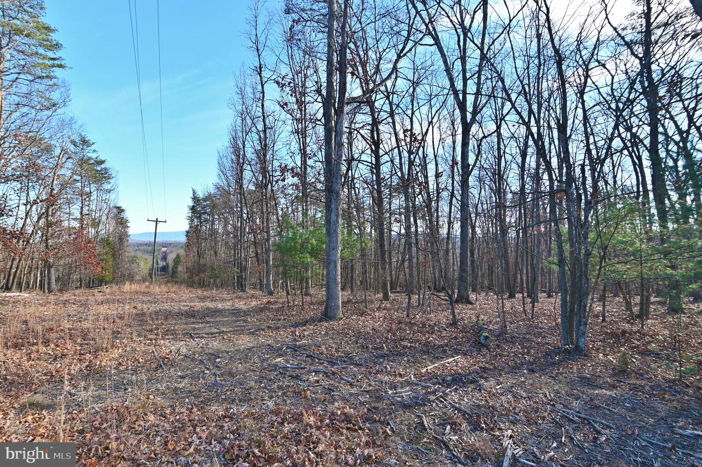 JEROME RD, EDINBURG, Virginia 22824, ,Land,For sale,JEROME RD,VASH2013356 MLS # VASH2013356