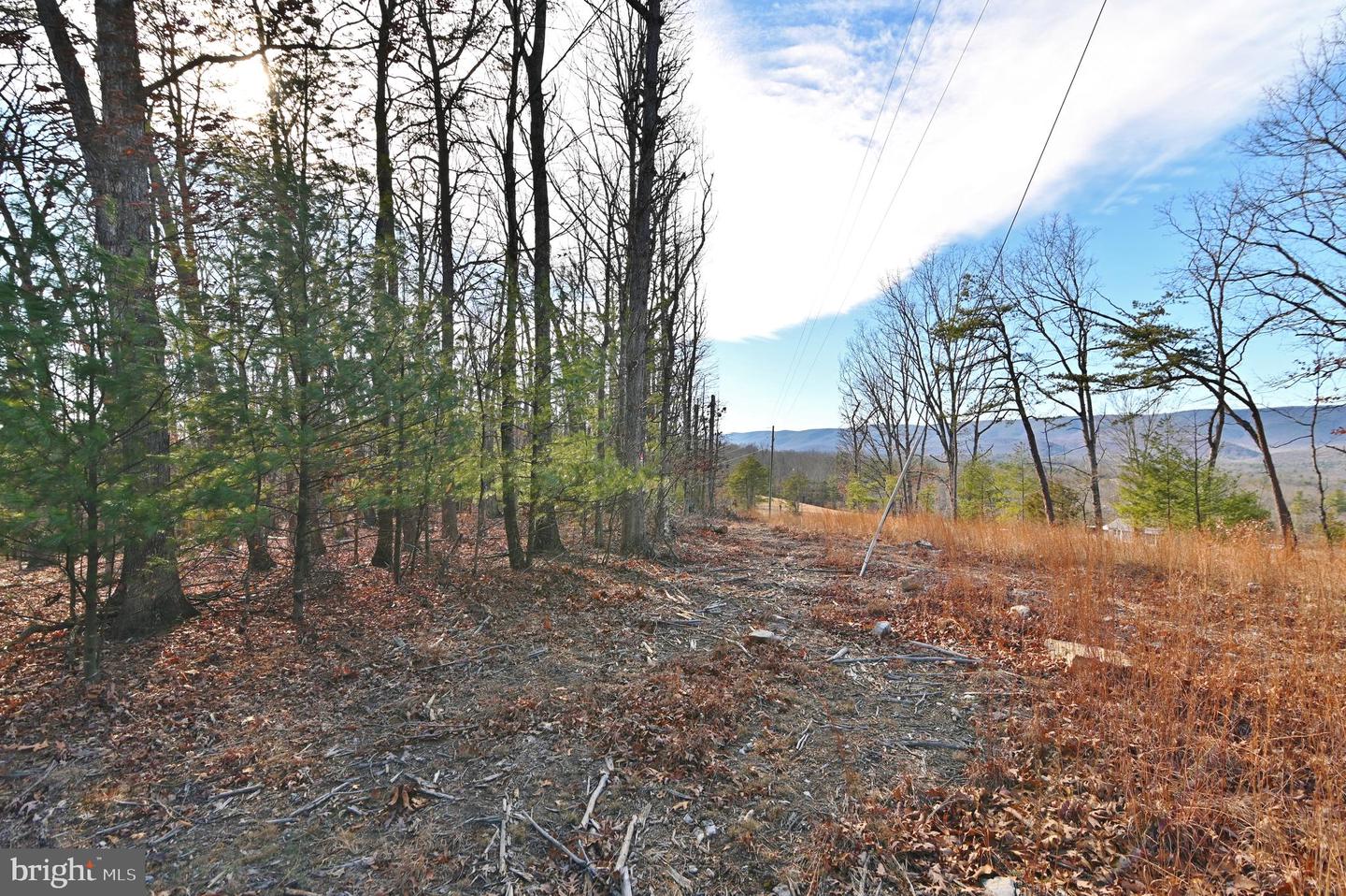 JEROME RD, EDINBURG, Virginia 22824, ,Land,For sale,JEROME RD,VASH2013356 MLS # VASH2013356