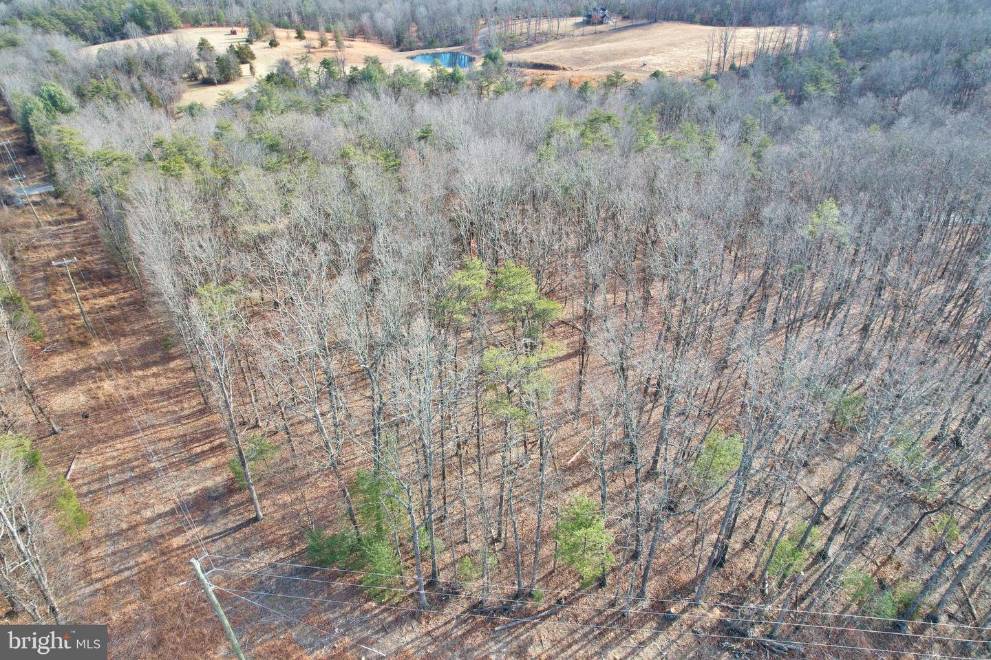 JEROME RD, EDINBURG, Virginia 22824, ,Land,For sale,JEROME RD,VASH2013356 MLS # VASH2013356